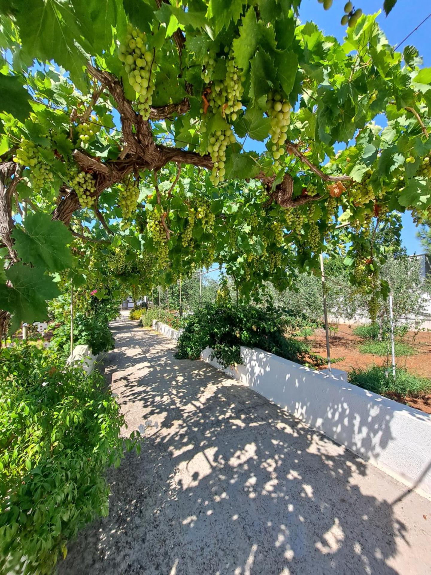 Villa Mele - Photo 30