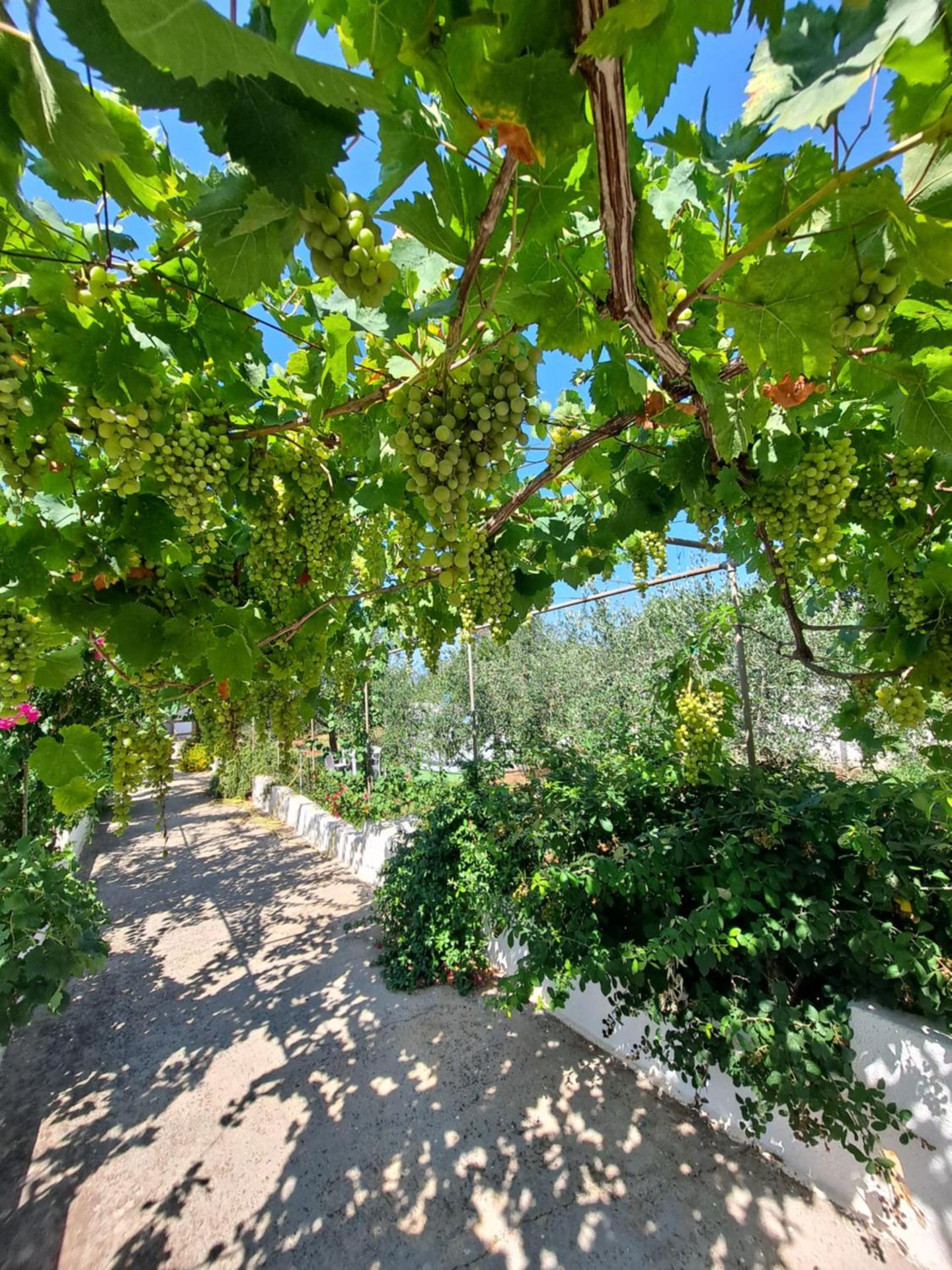 Villa Mele - Photo 29