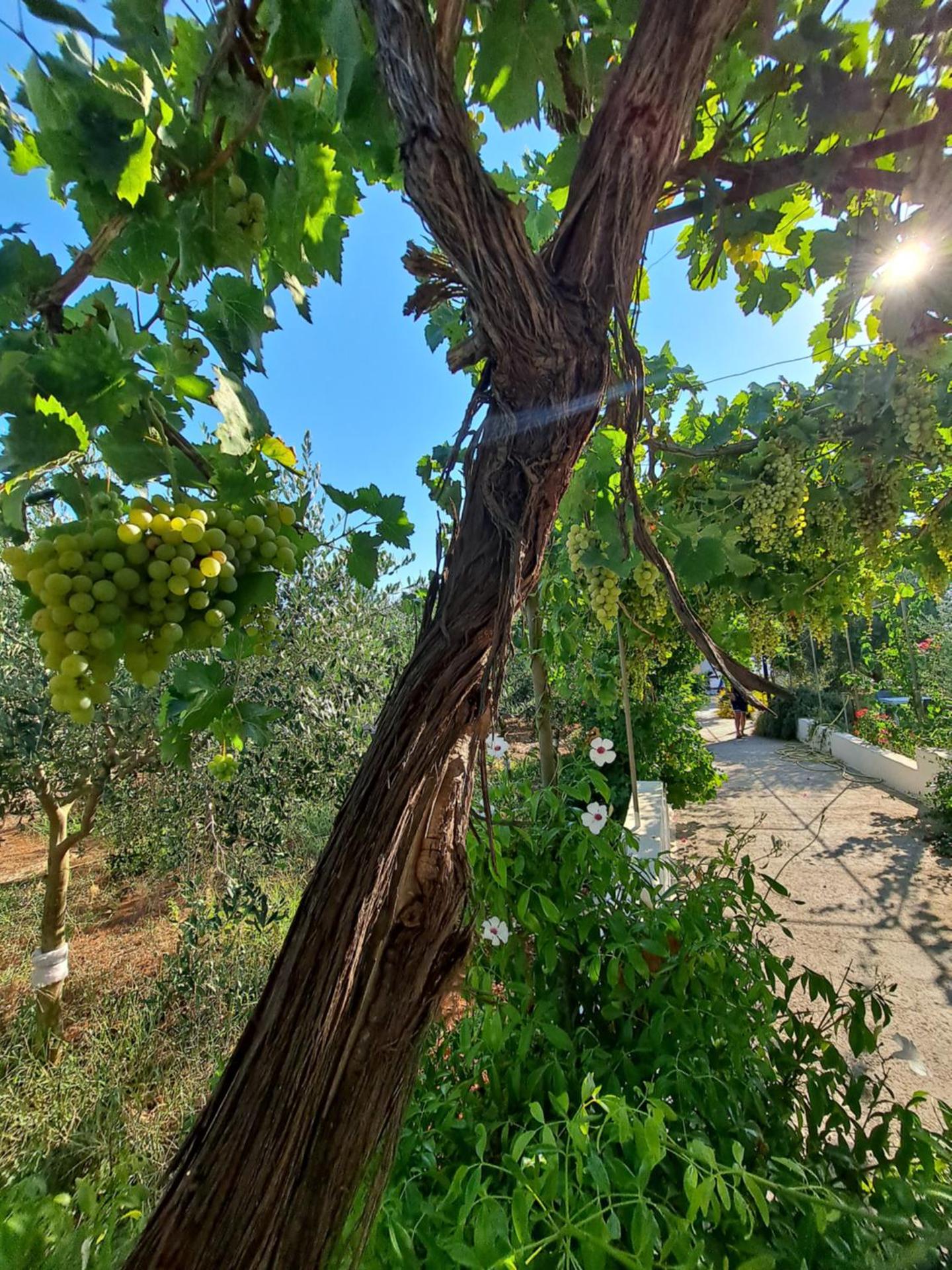 Villa Mele - Photo 28