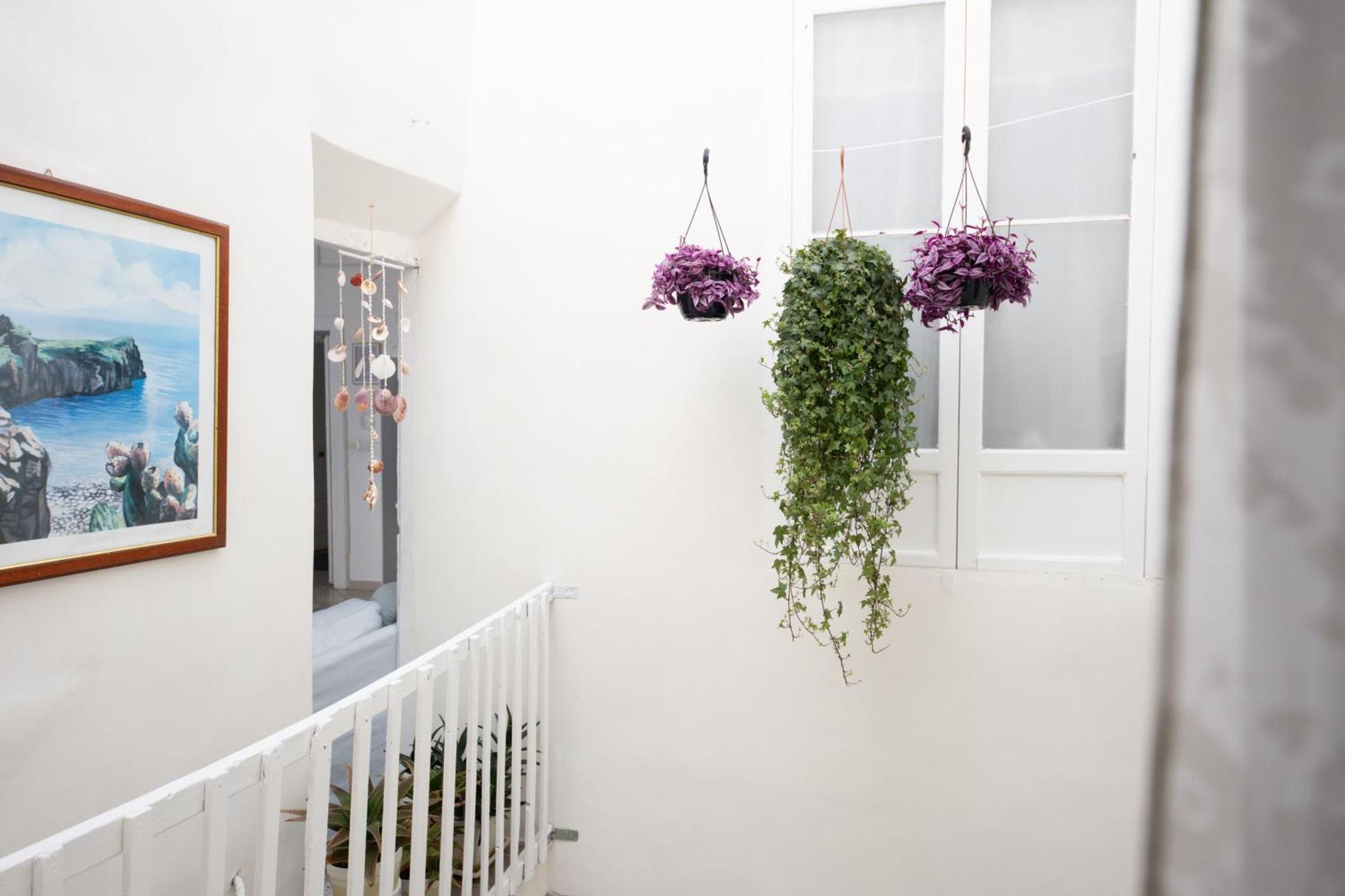 Casanova Rooms and Apartment to Rent - Photo 4