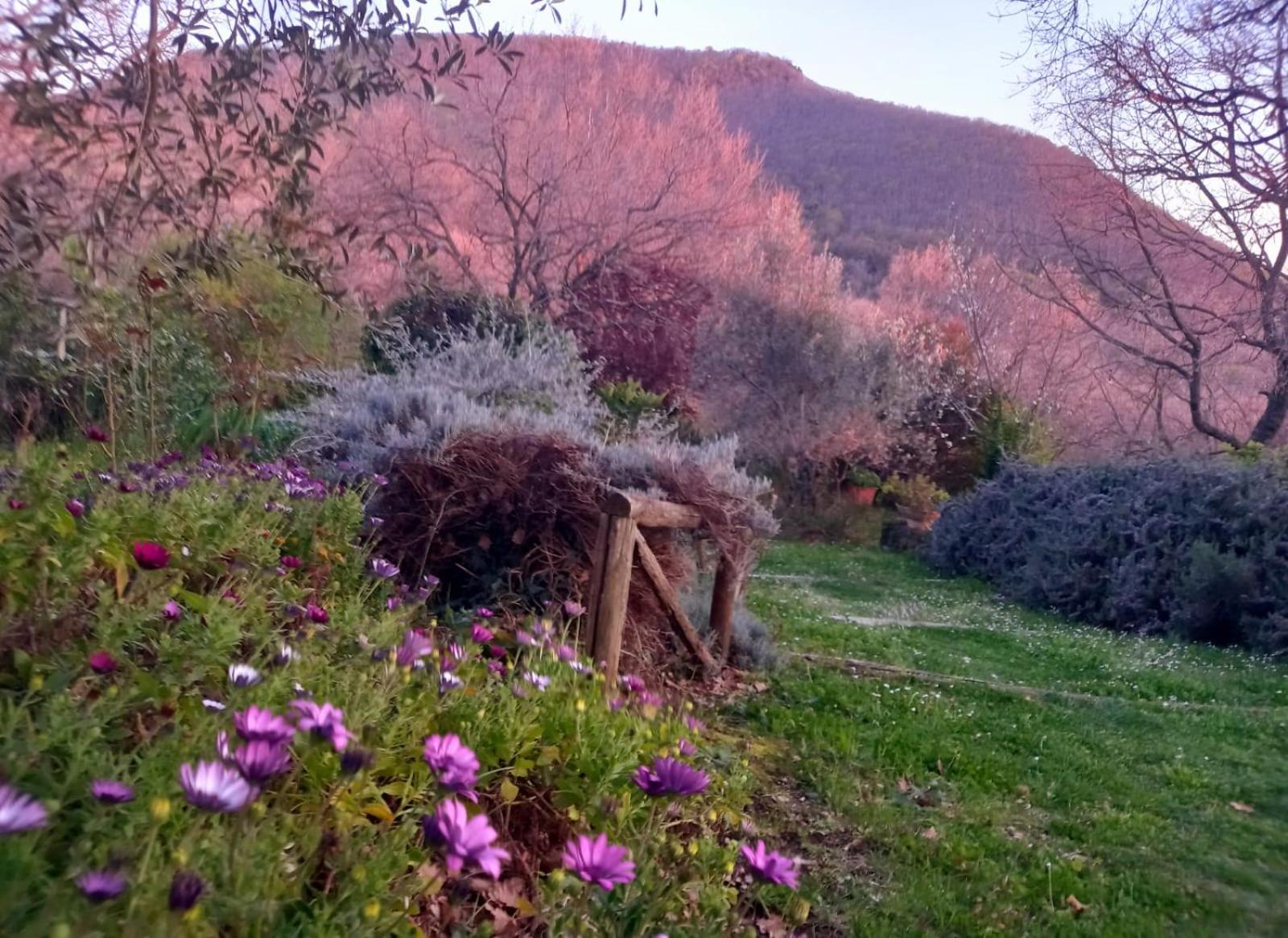 La Chiesuola - Photo 43