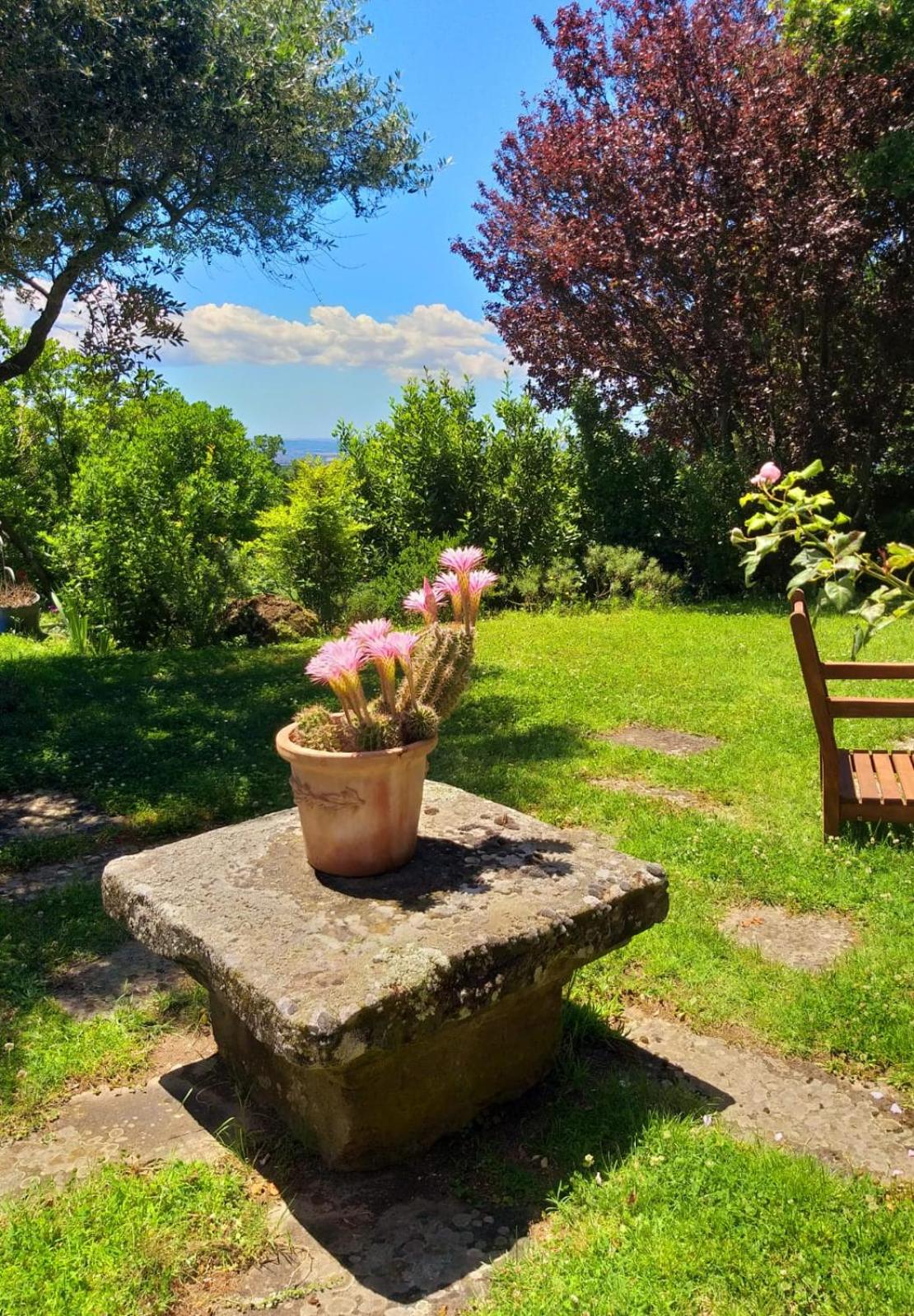 La Chiesuola - Photo 147