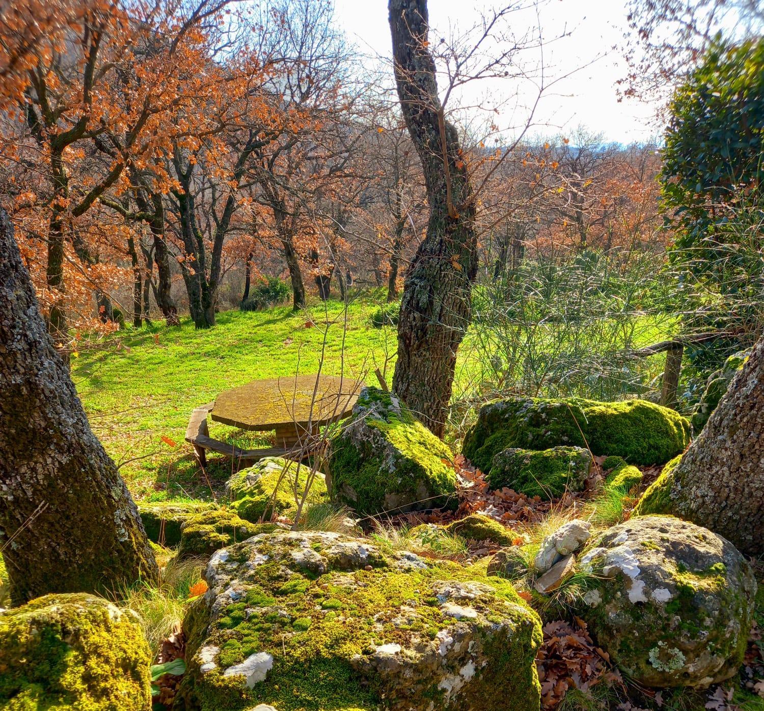 La Chiesuola - Photo 149