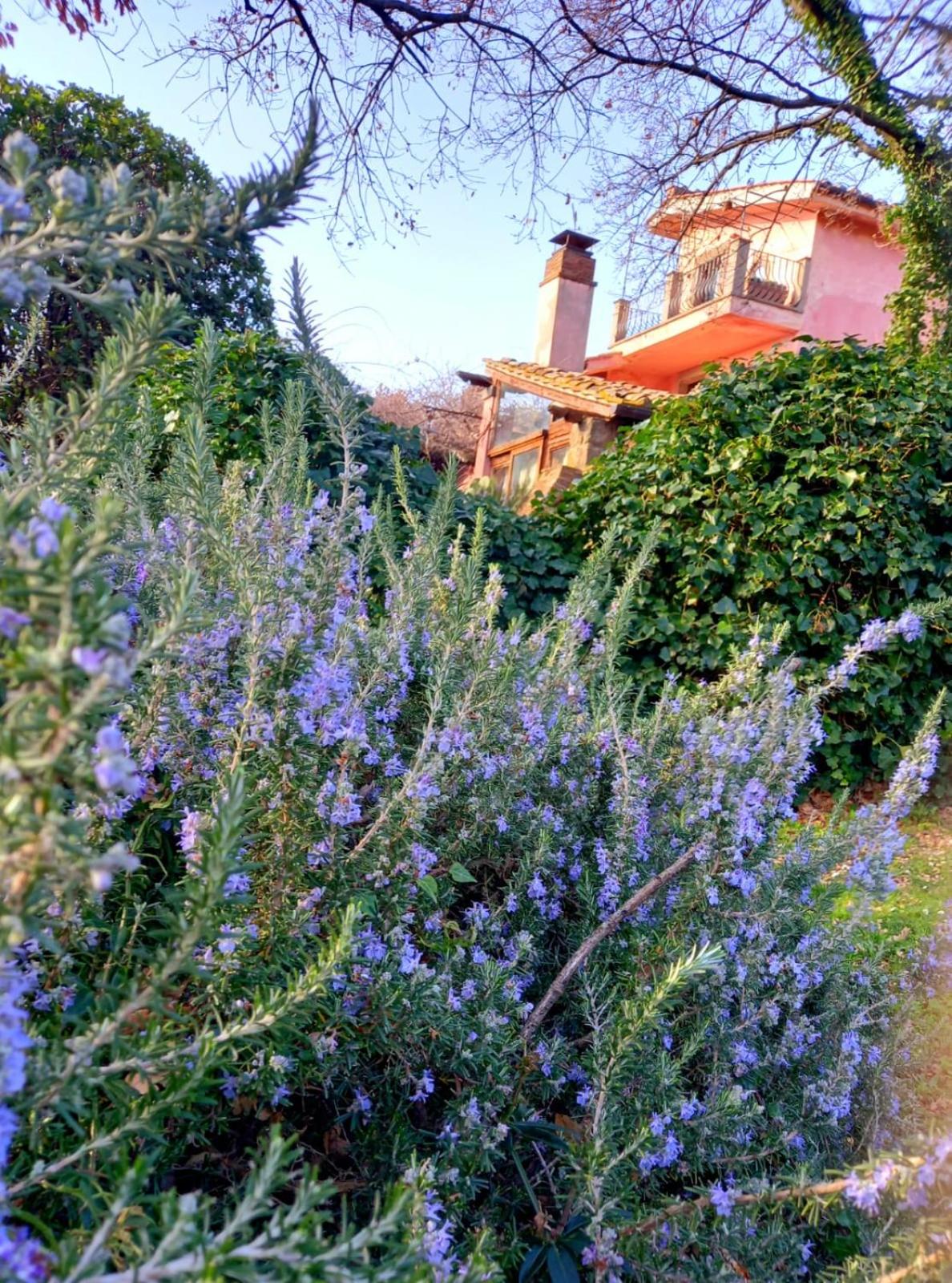 La Chiesuola - Photo 66