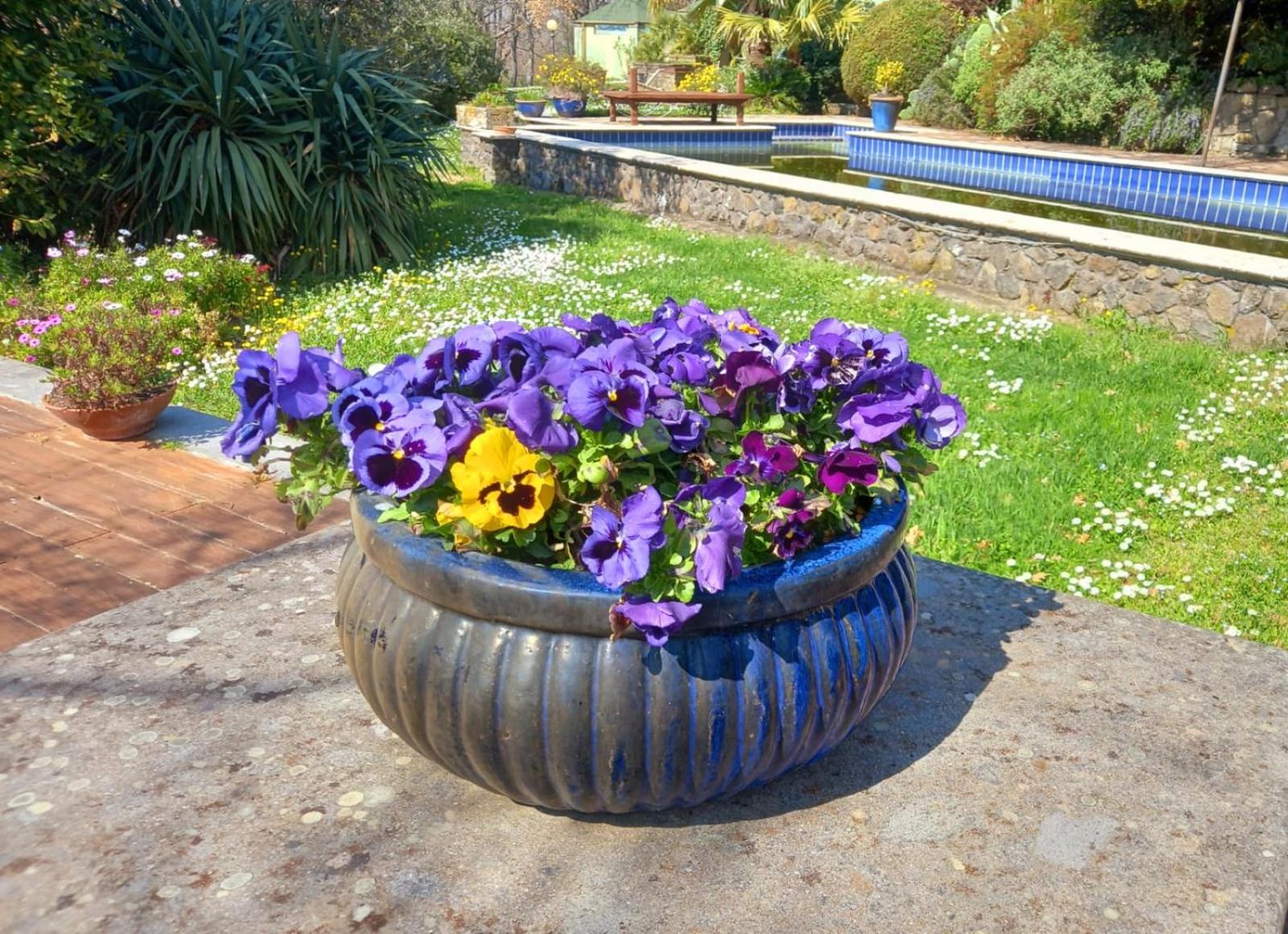 La Chiesuola - Photo 79