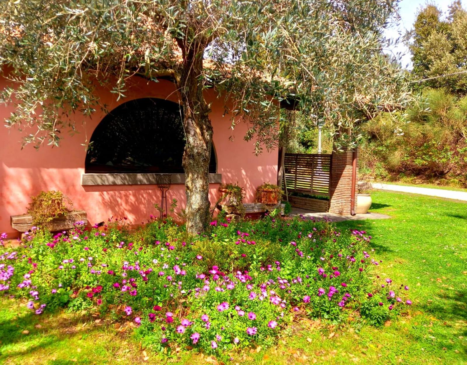 La Chiesuola - Photo 153