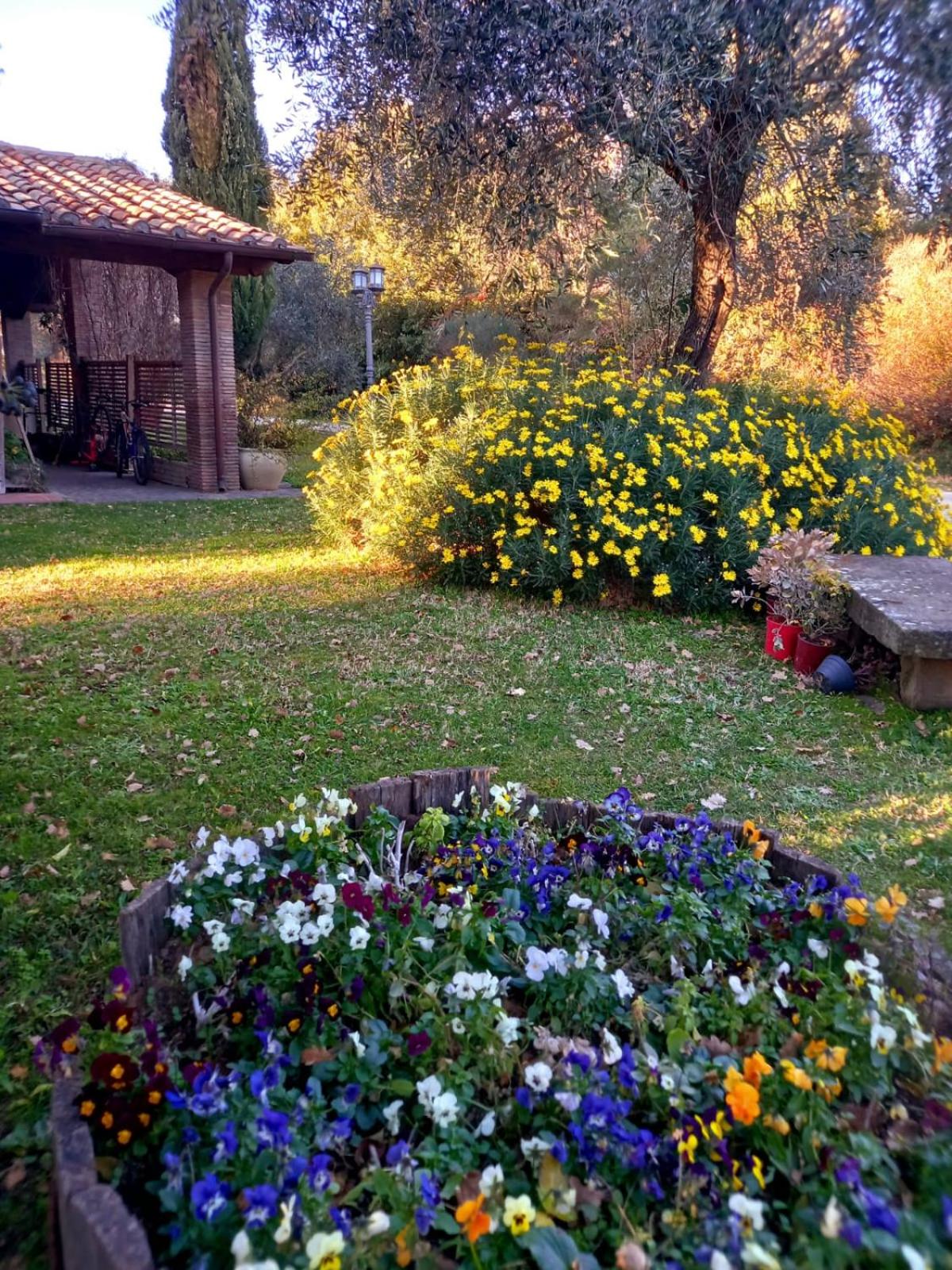 La Chiesuola - Photo 155