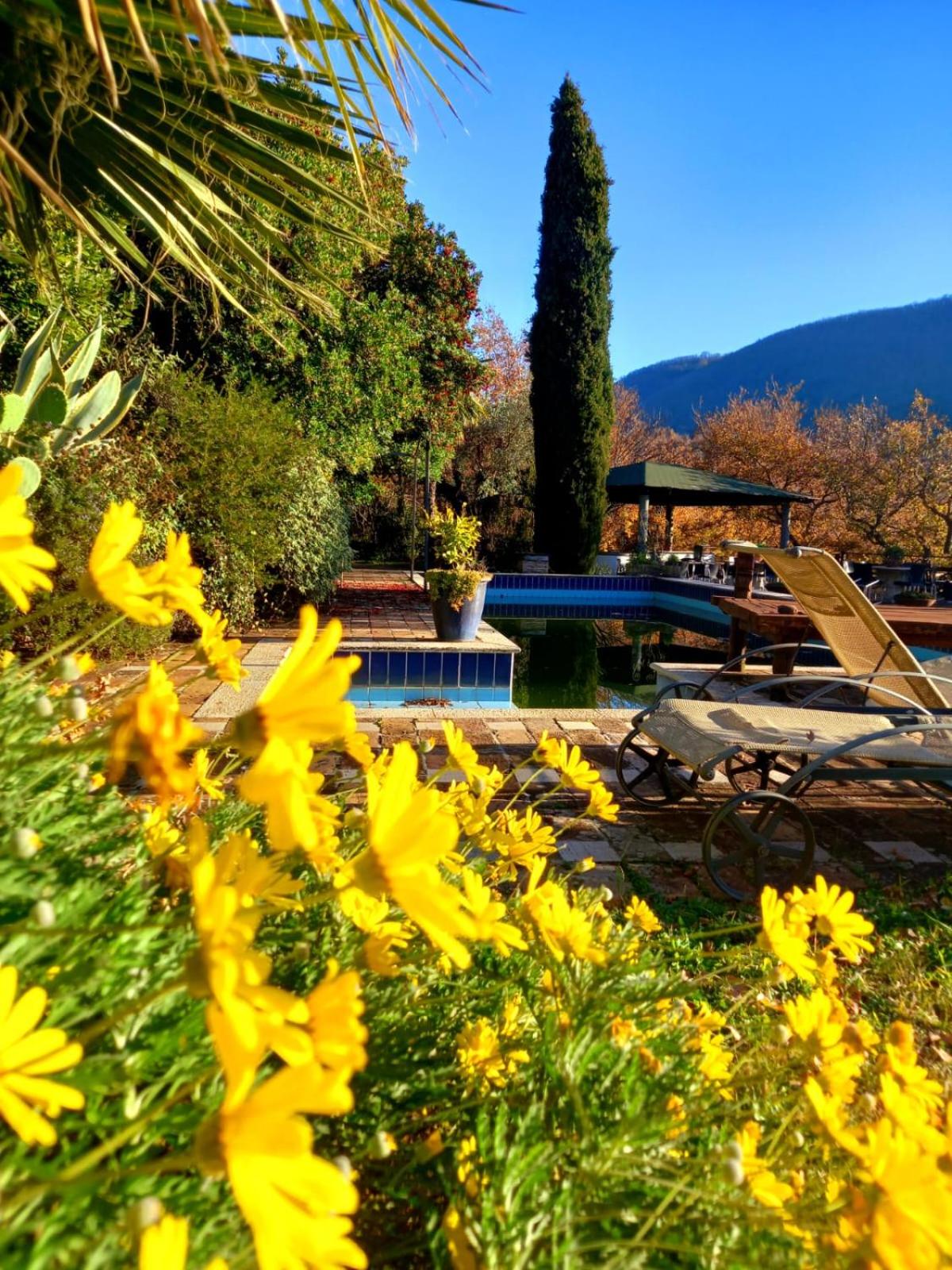 La Chiesuola - Photo 156