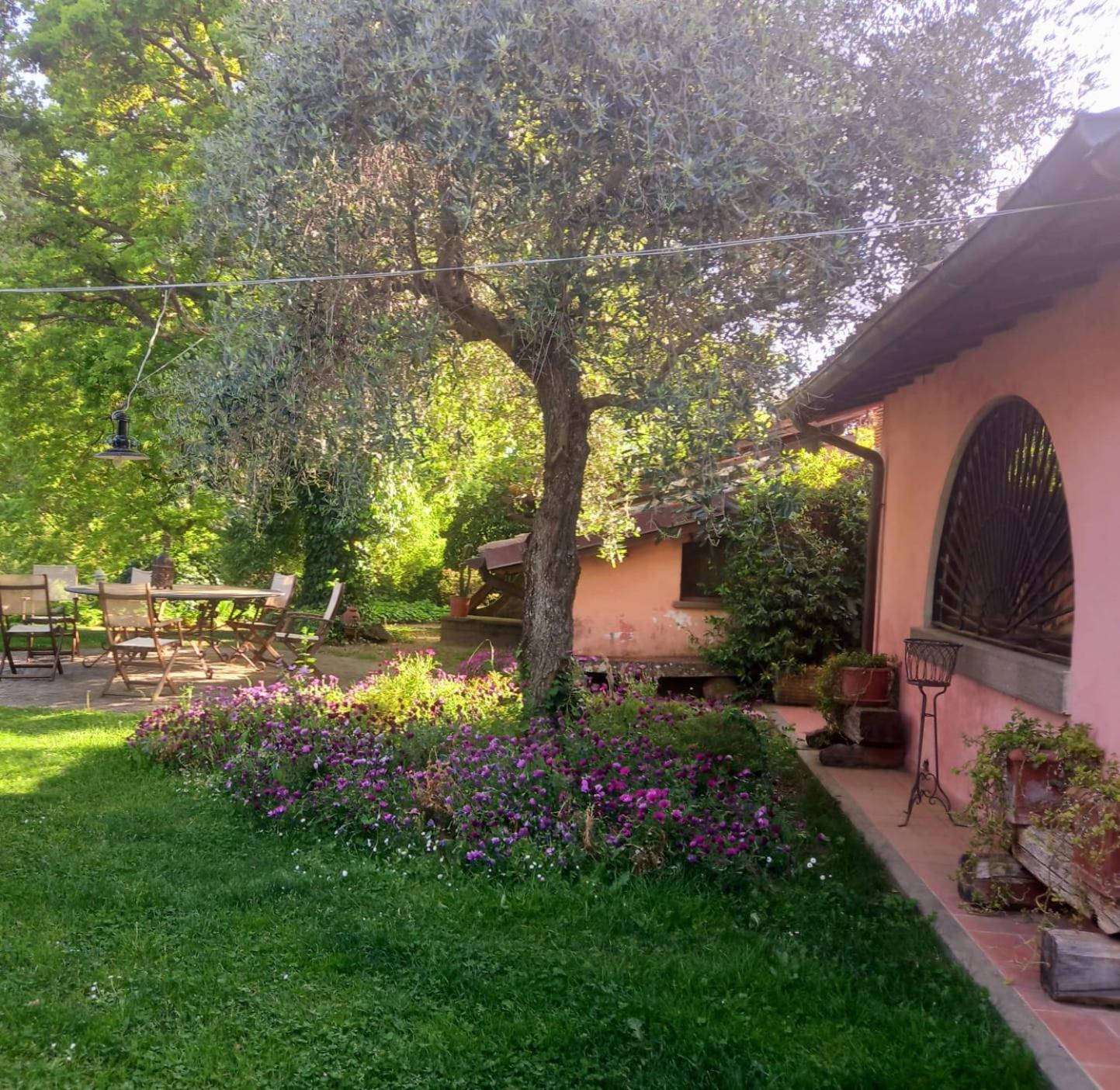 La Chiesuola - Photo 157