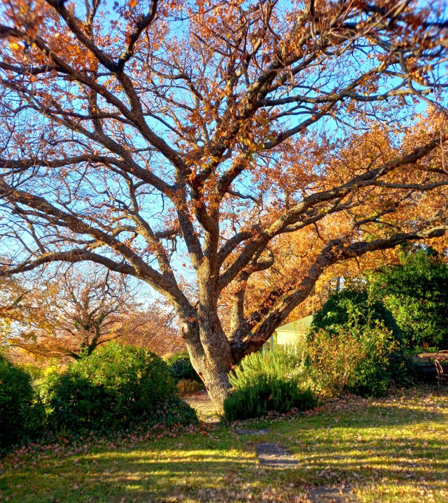 La Chiesuola - Photo 158