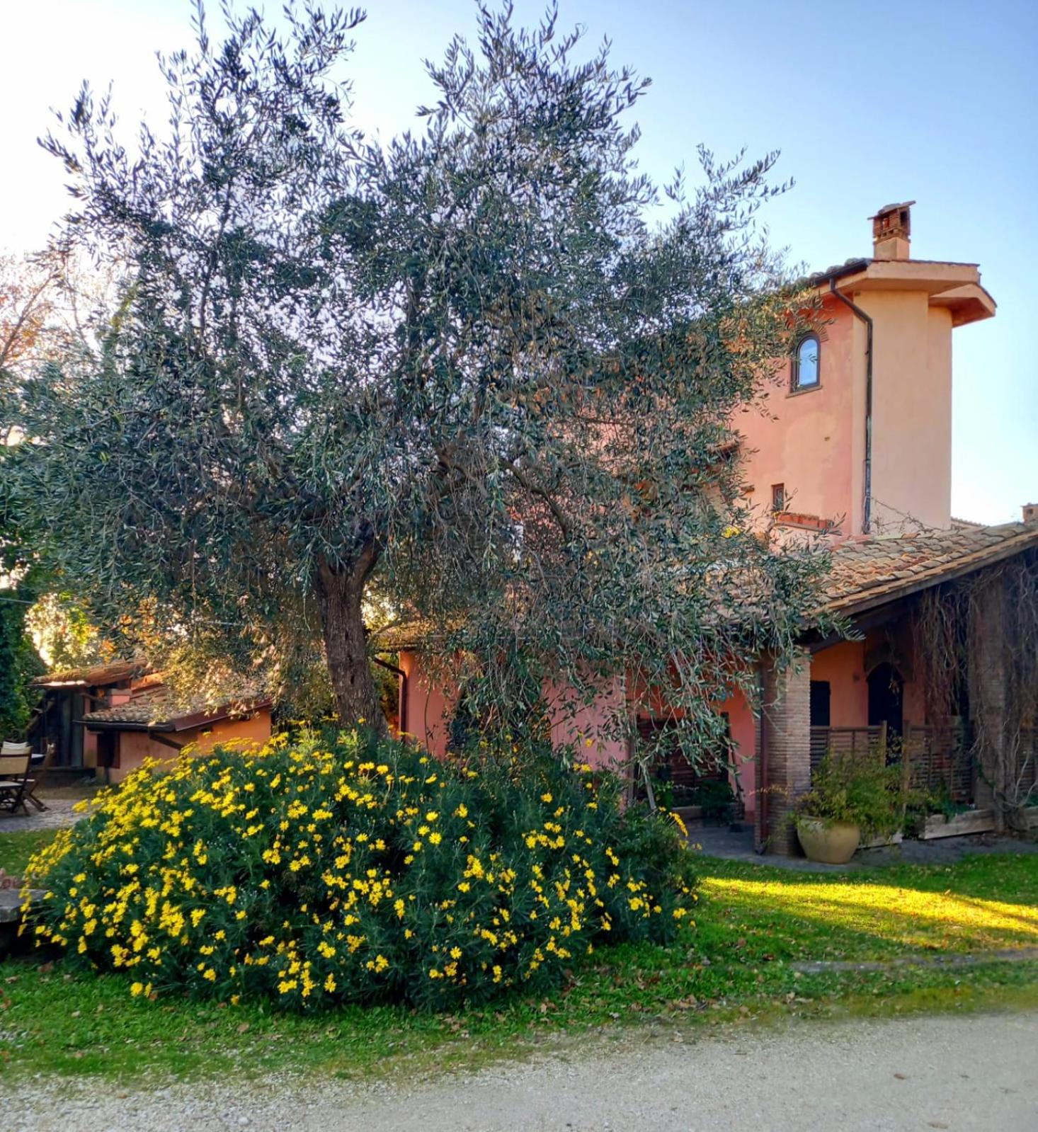 La Chiesuola - Photo 159