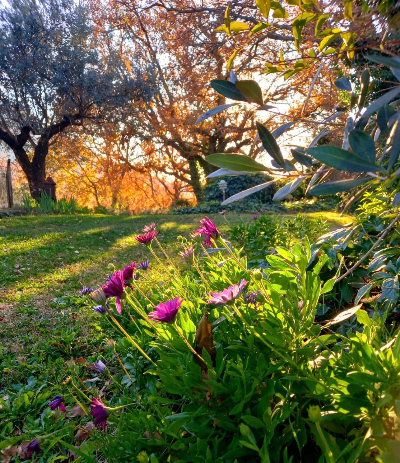 La Chiesuola - Photo 160