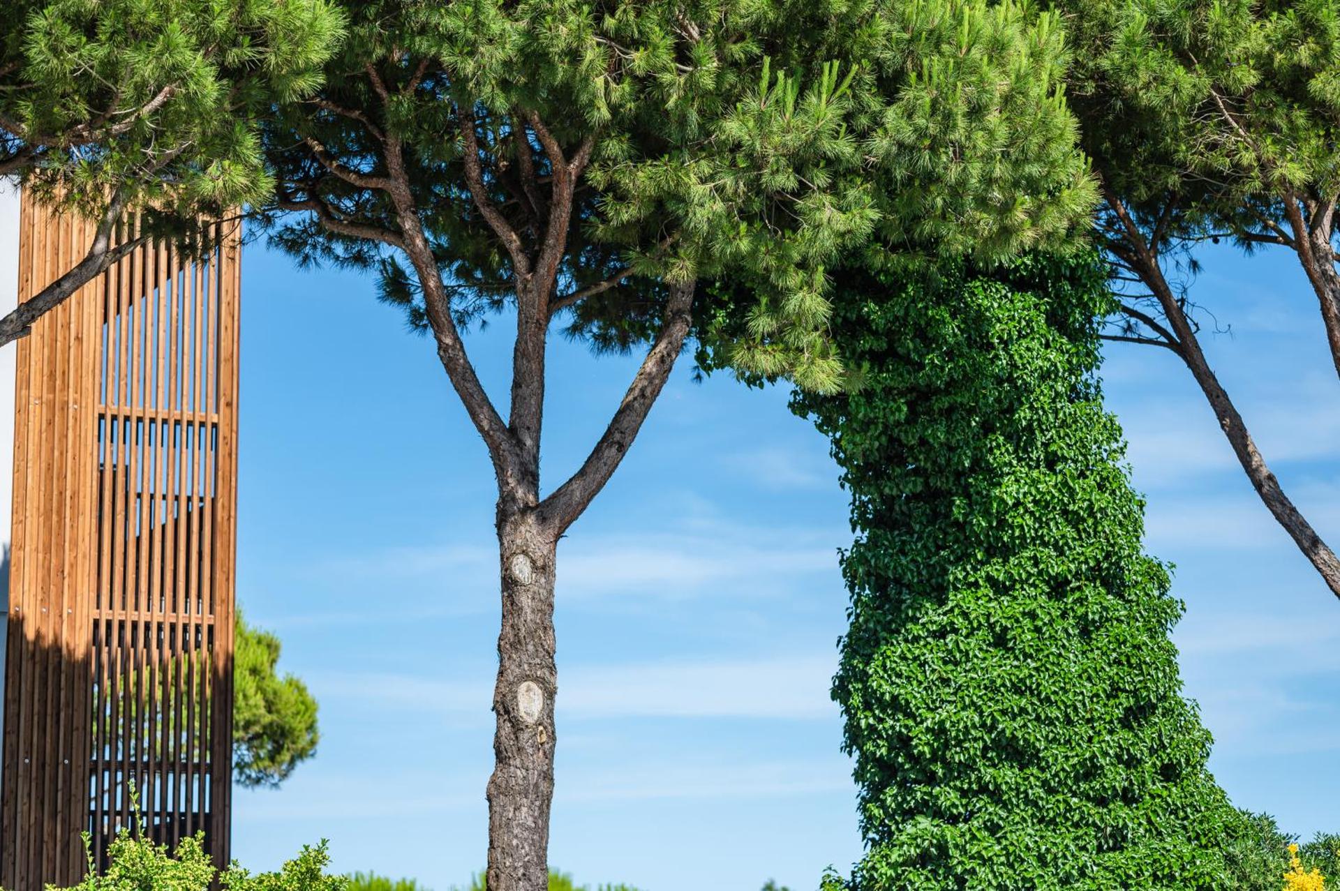 Park Hotel Maracaibo - Photo 189