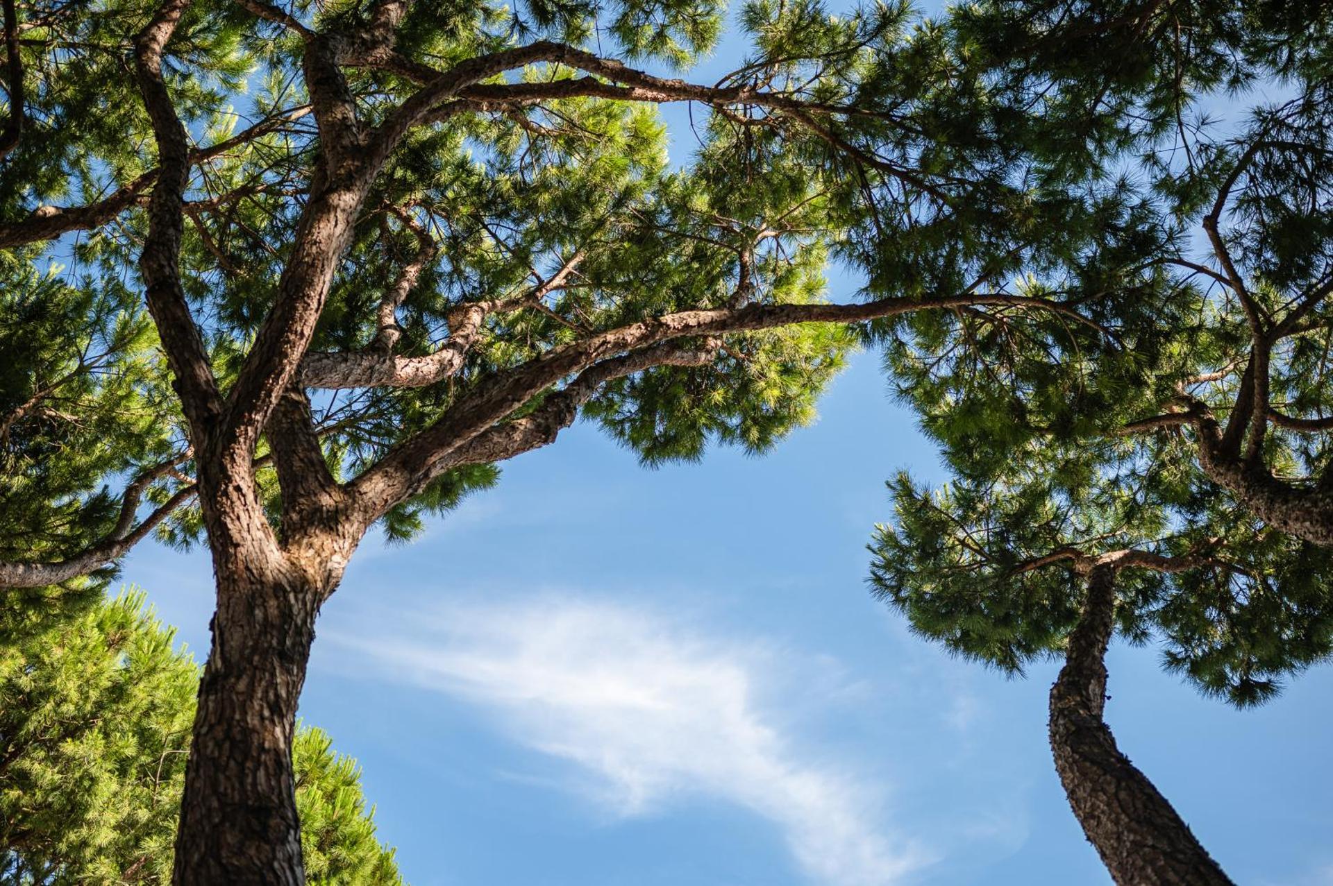 Park Hotel Maracaibo - Photo 115