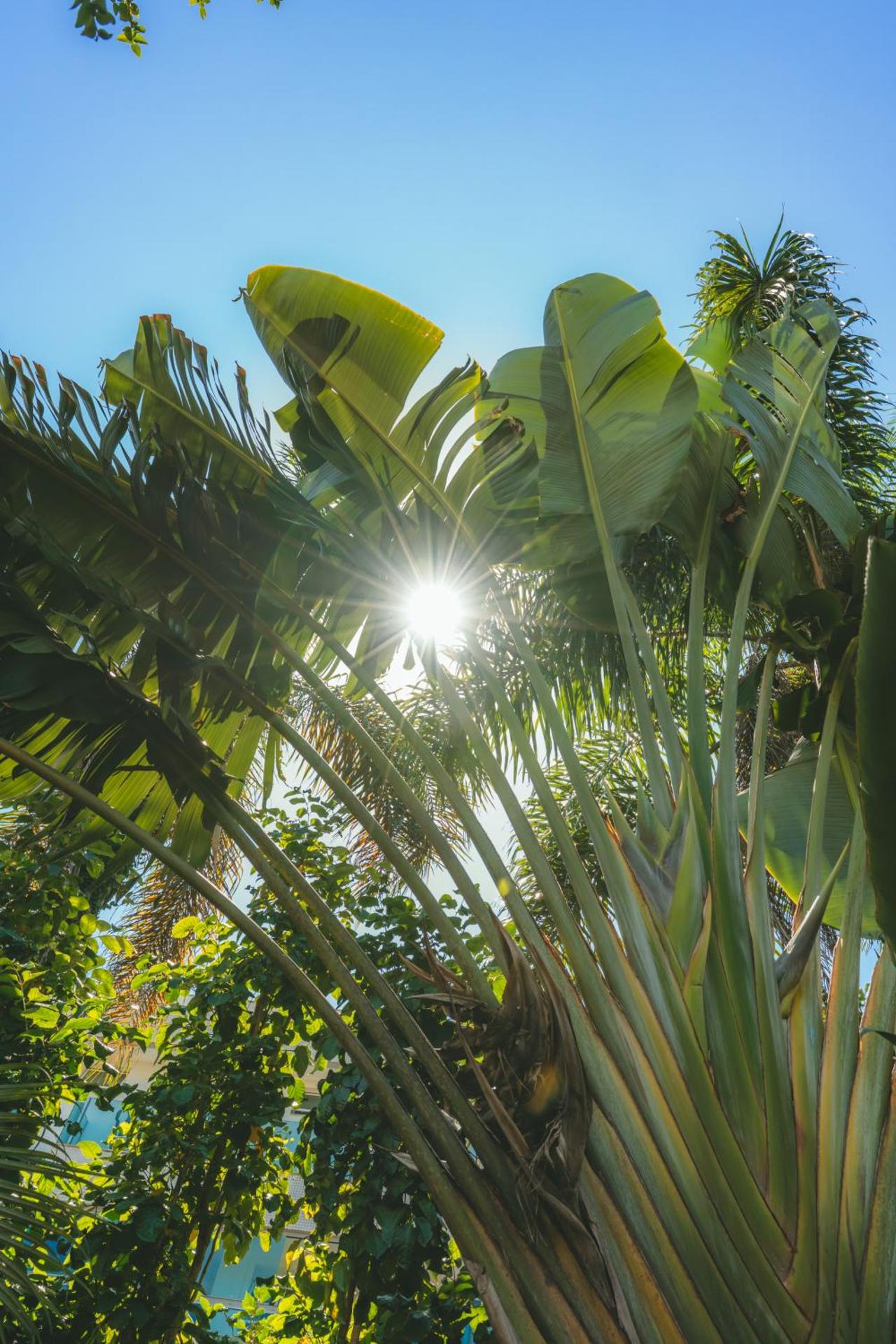 Pousada Vila Tamarindo Eco Lodge - Photo 5