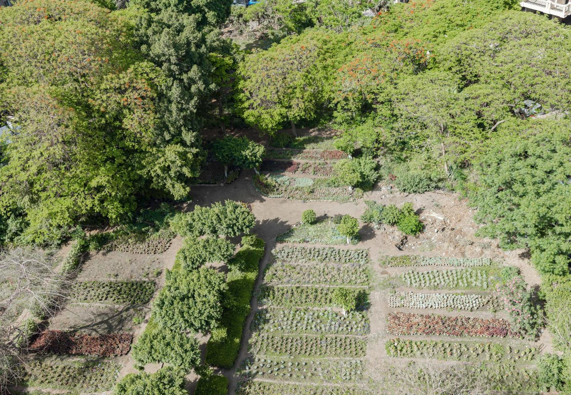 Elegance Tower - Photo 151