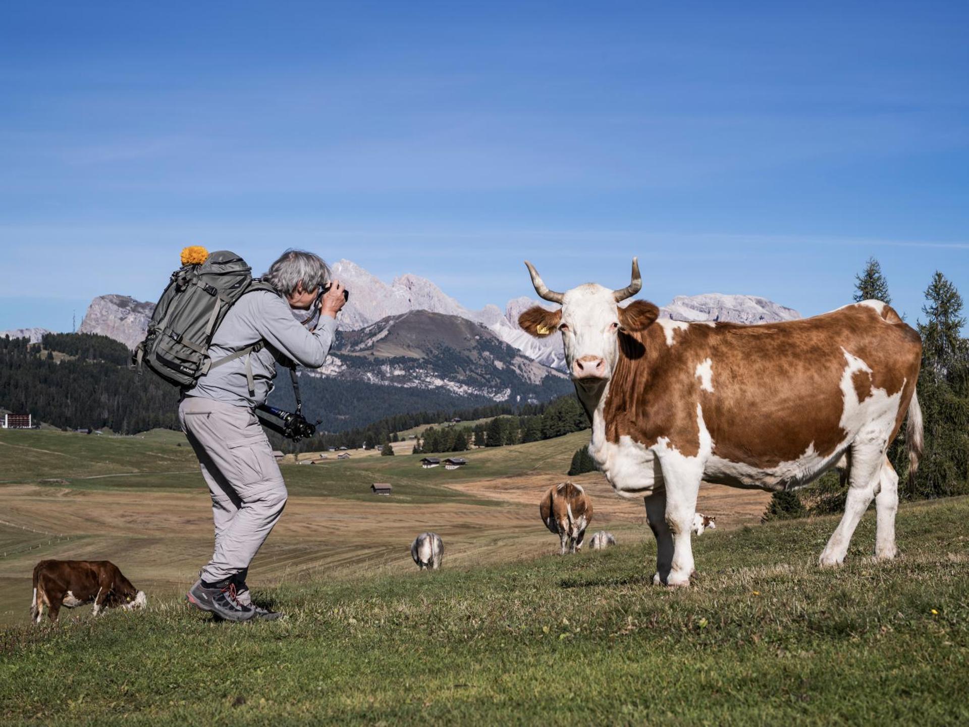 Hotel Platz - Photo 9