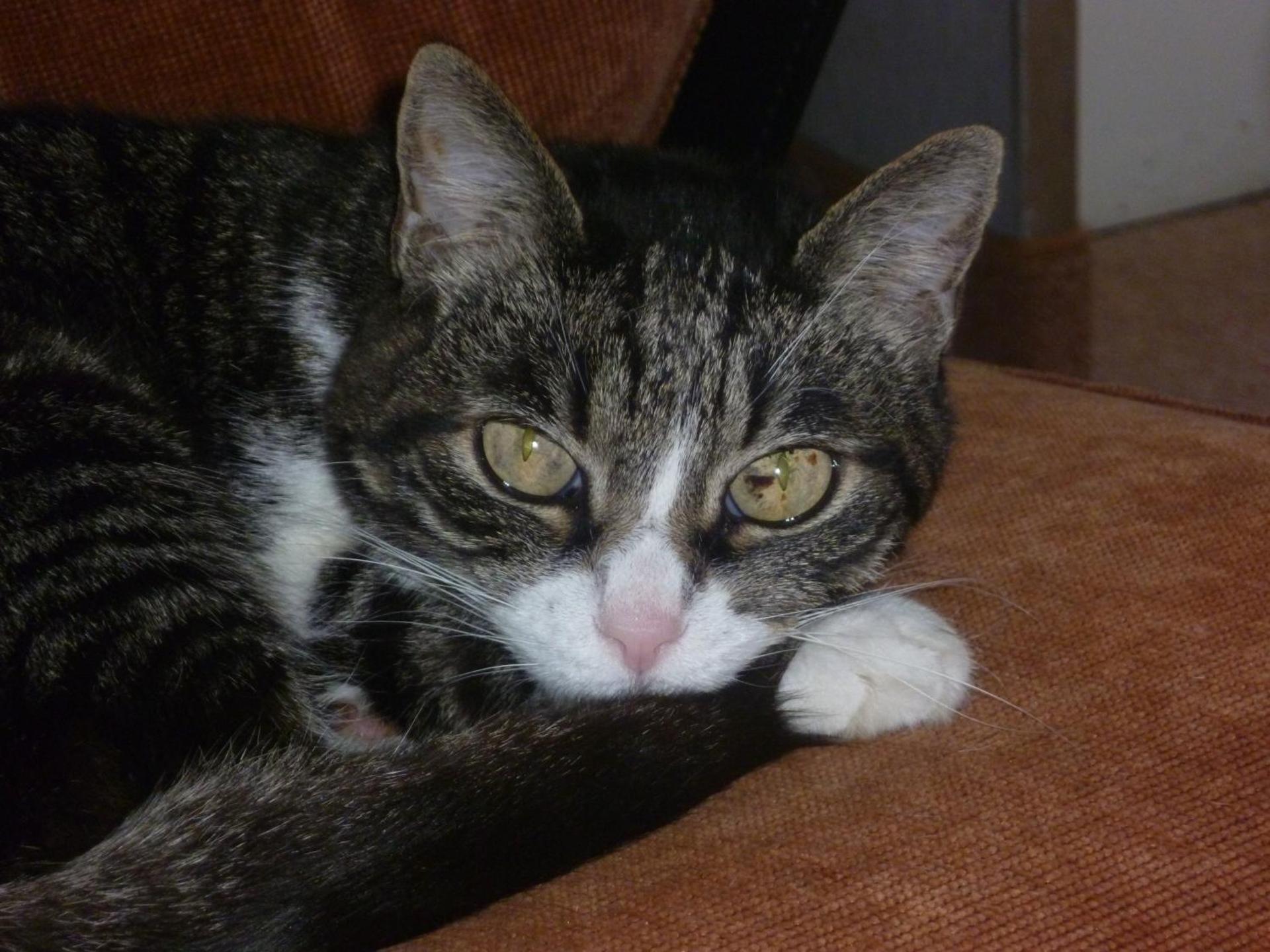 La Terrazza Sul Po - Photo 22