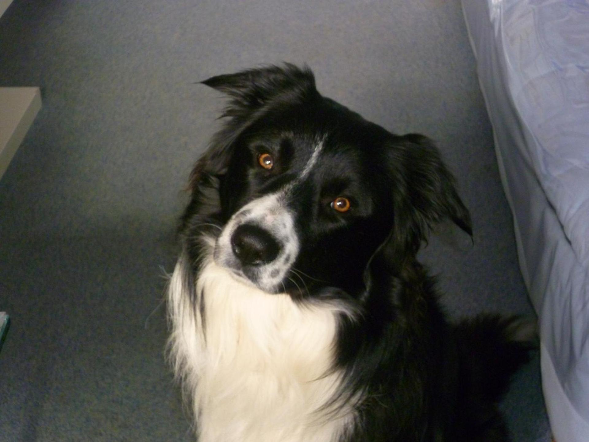 La Terrazza Sul Po - Photo 23