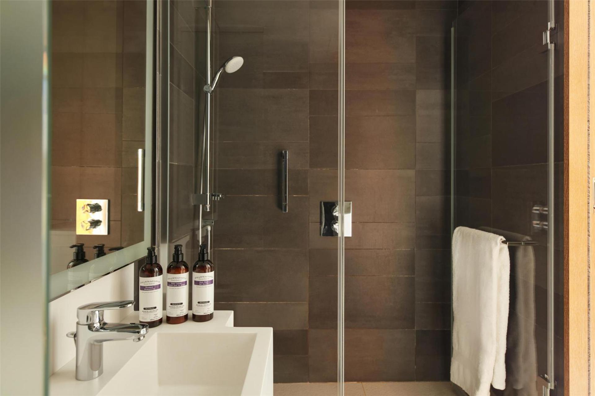 Deluxe Twin Room with Eiffel Tower View