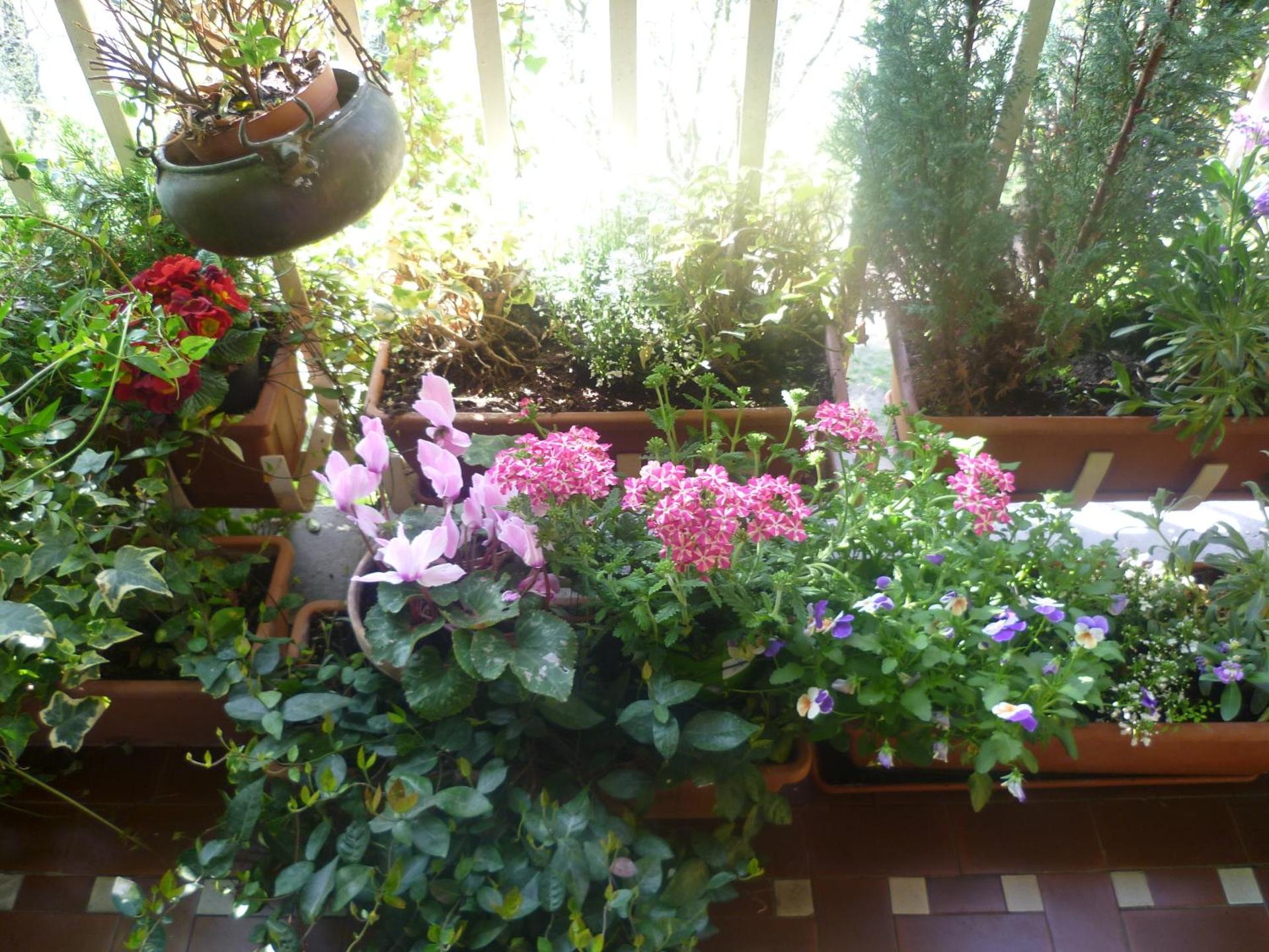 La Terrazza Sul Po - Photo 12