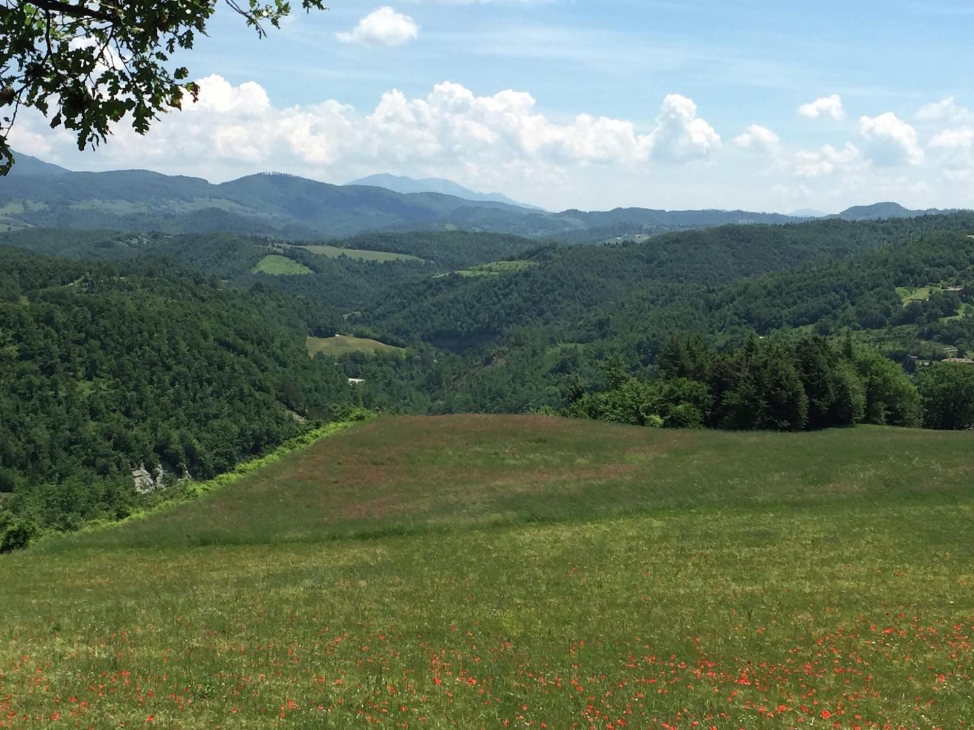 Farmhouse in Apecchio with Swimming Pool, Terrace, Garden - Photo 28