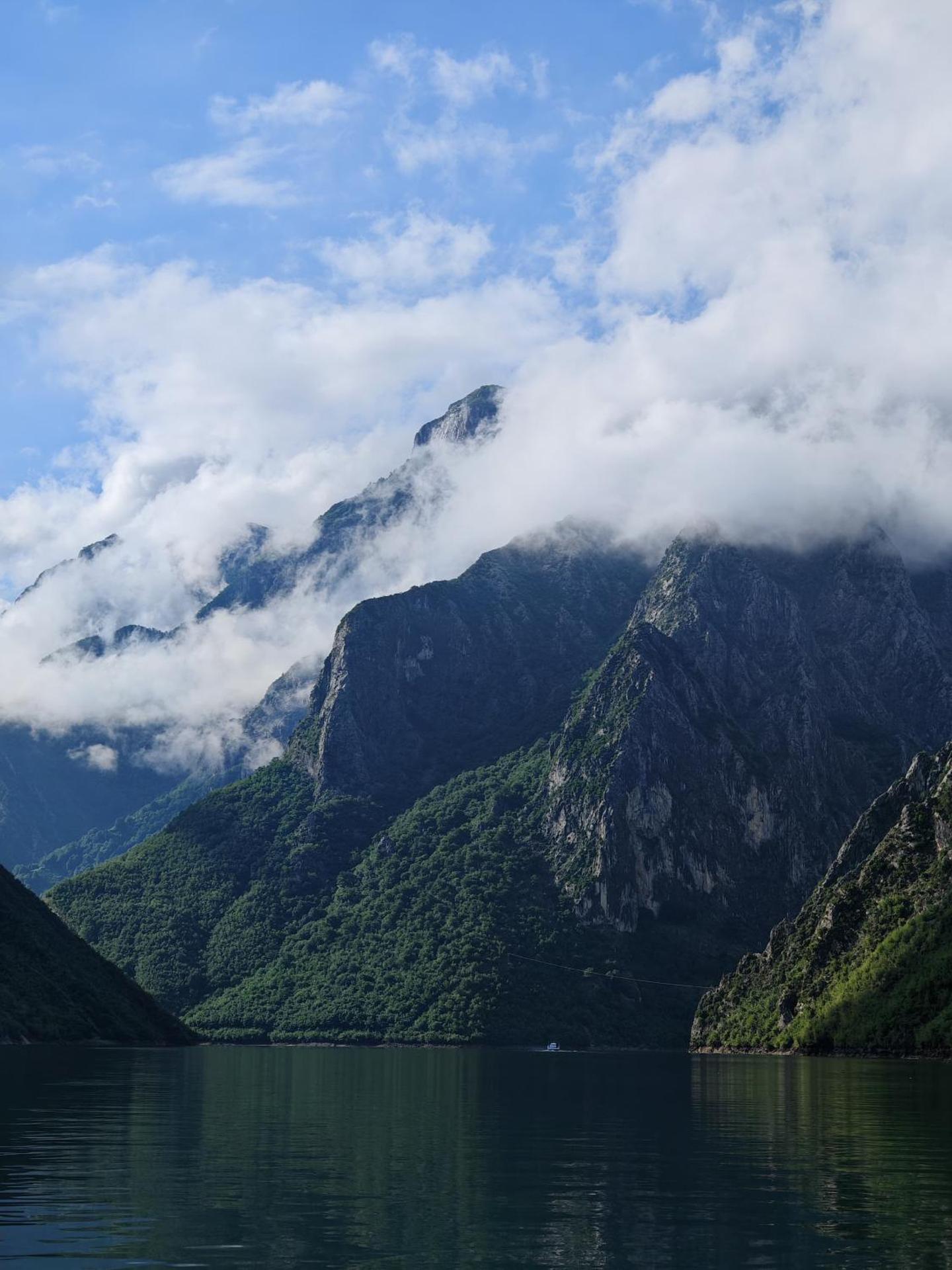 5 Stinet - Photo 166