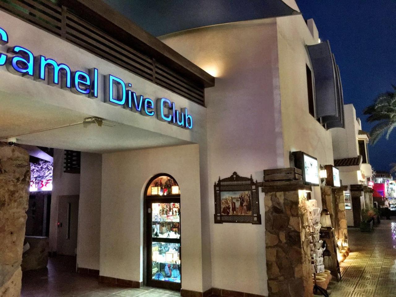 Camel Dive Club & Boutique Hotel - Photo 8
