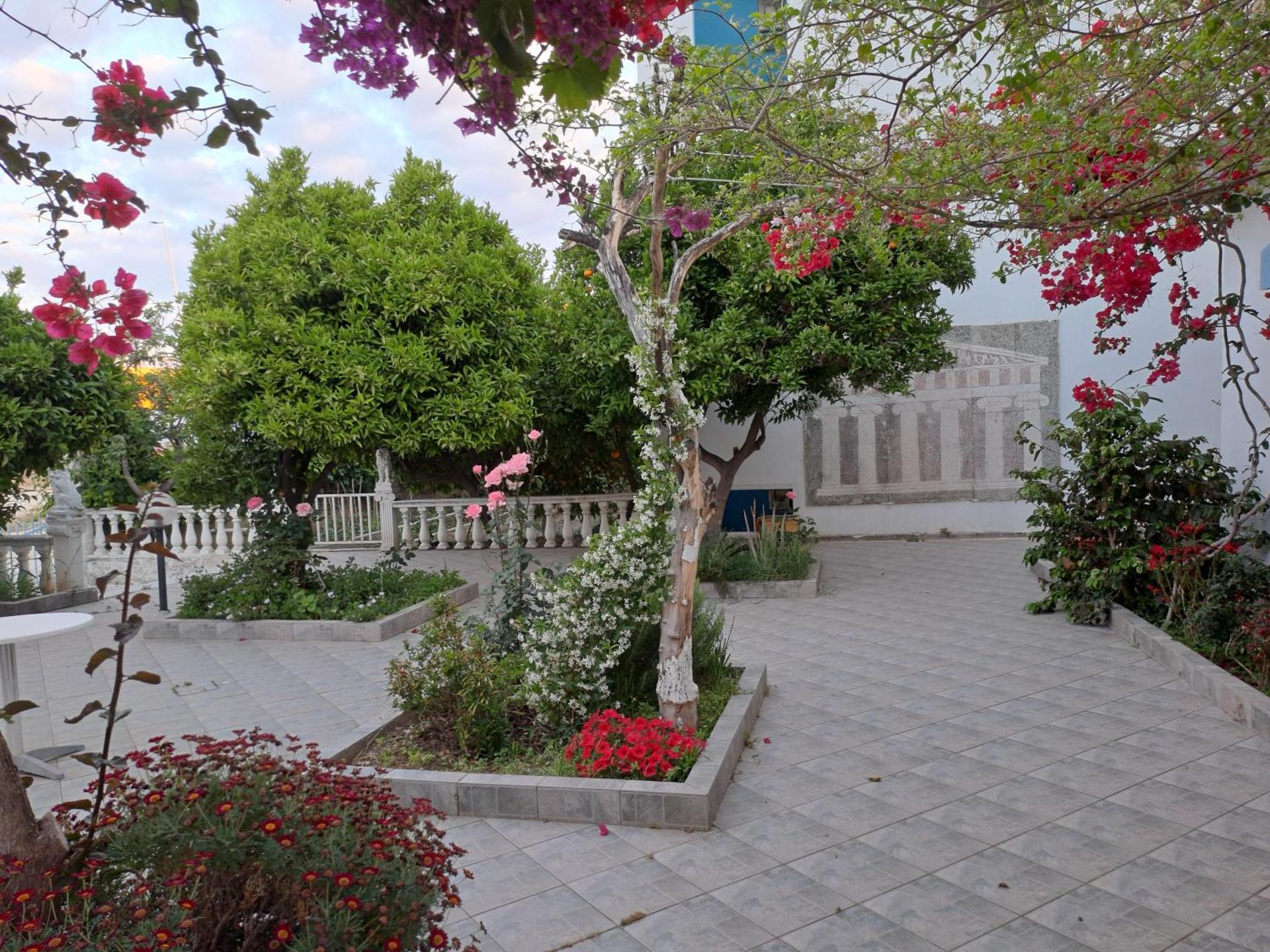 Hotel Apollon - Photo 43