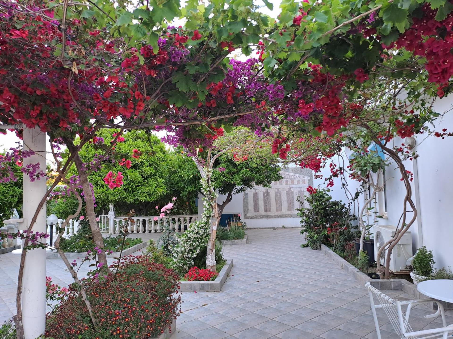 Hotel Apollon - Photo 44