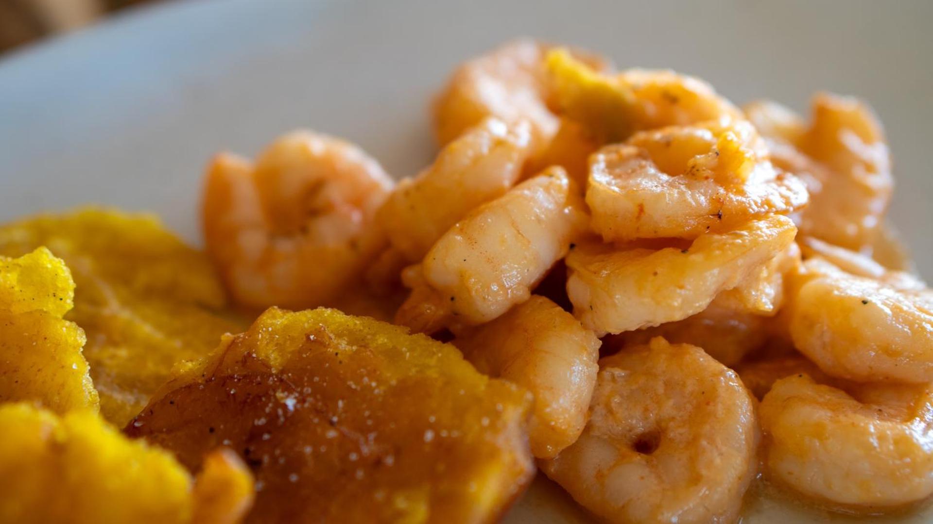 Hotel Gran Real Punta Cana - Photo 18