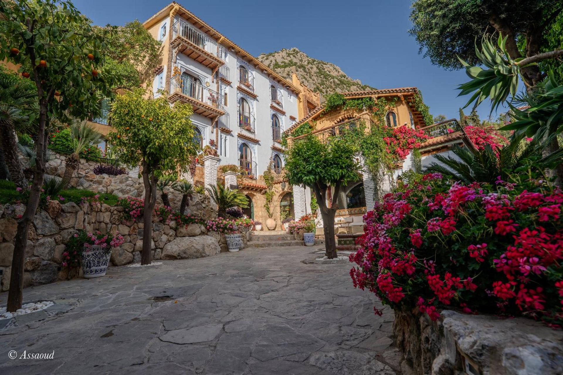 Dar Echchaouen Maison d'Hôtes & Riad - Photo 43