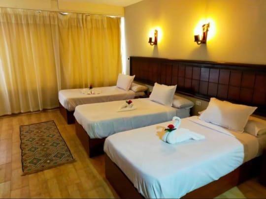 Lorenda palace hotel - Photo 12