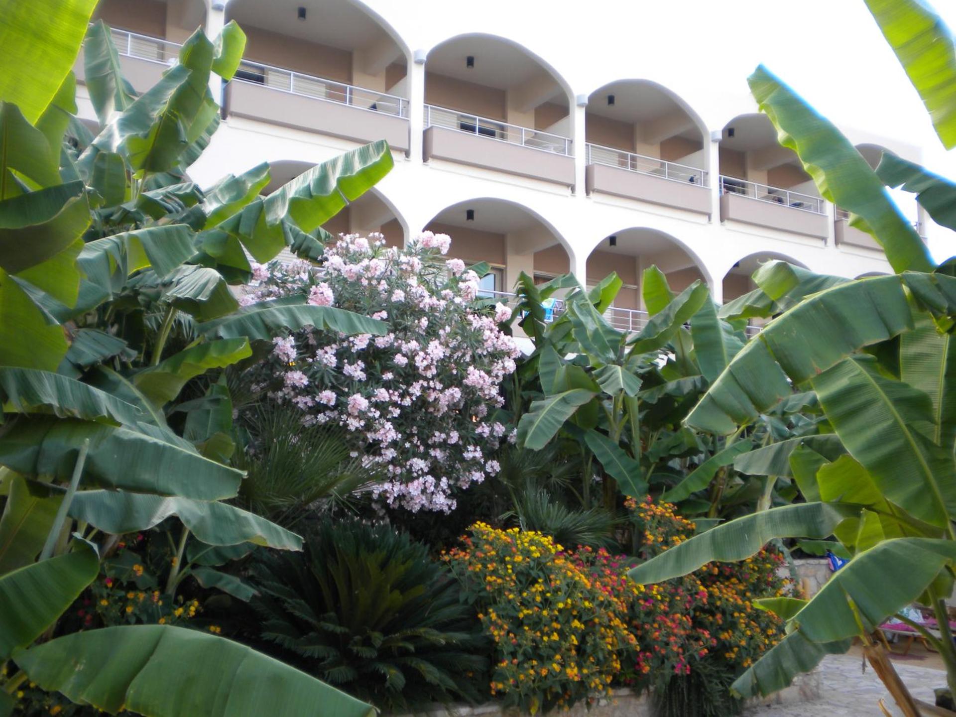 Paradise Lost Hotel-Apartments - Photo 33