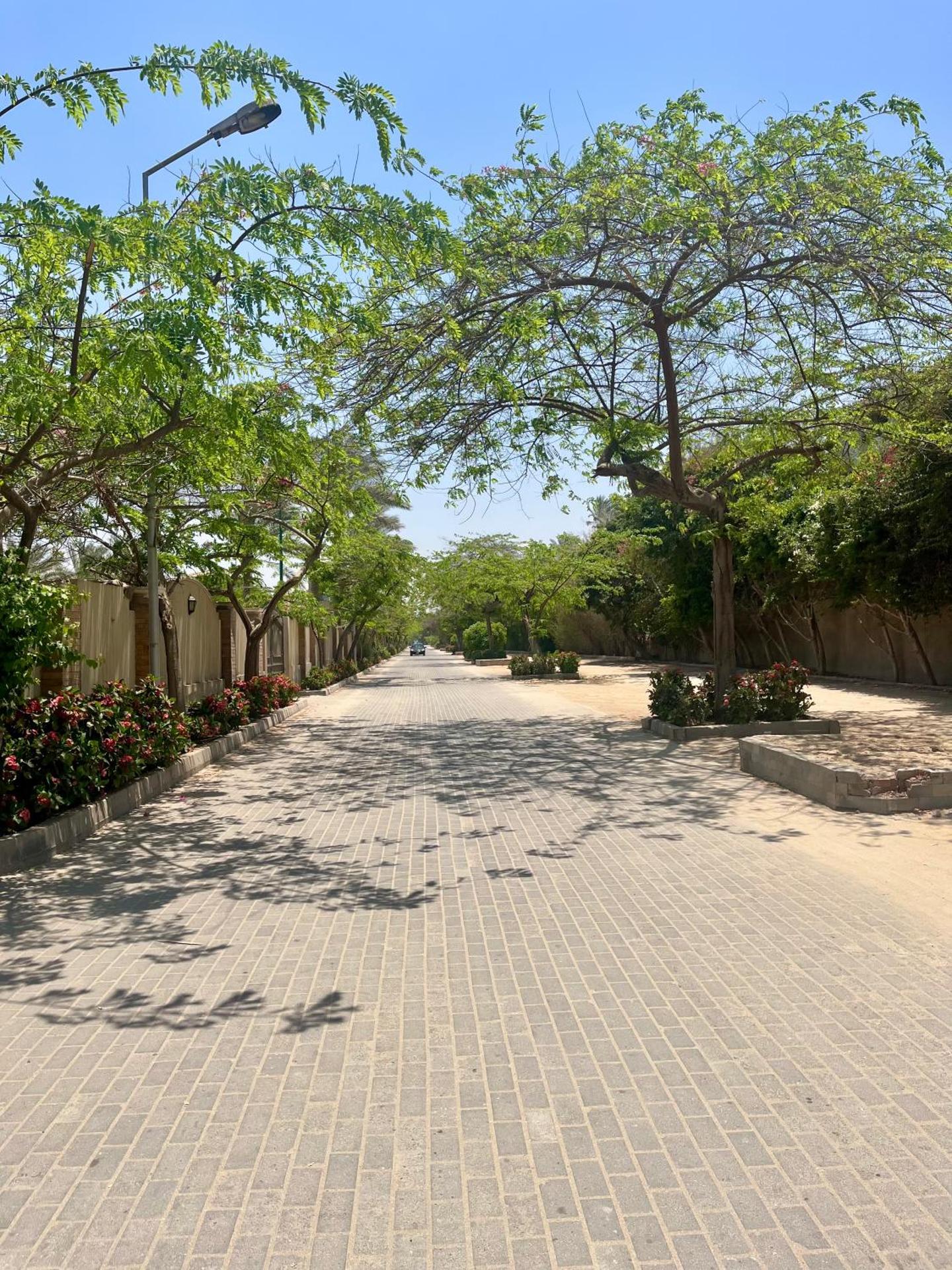 Luca Pyramids Inn - Photo 15