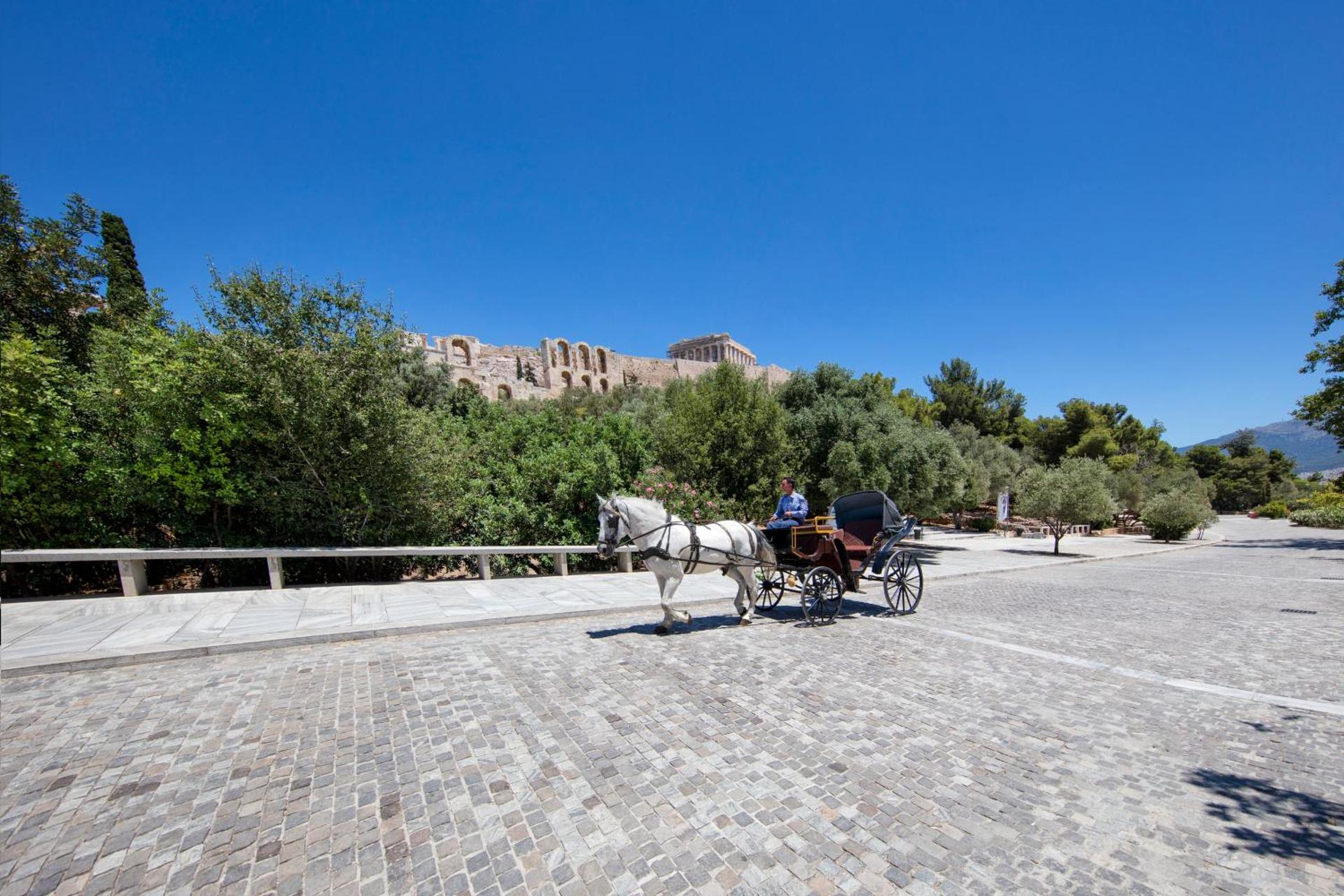 The Acropolis Window - Photo 16