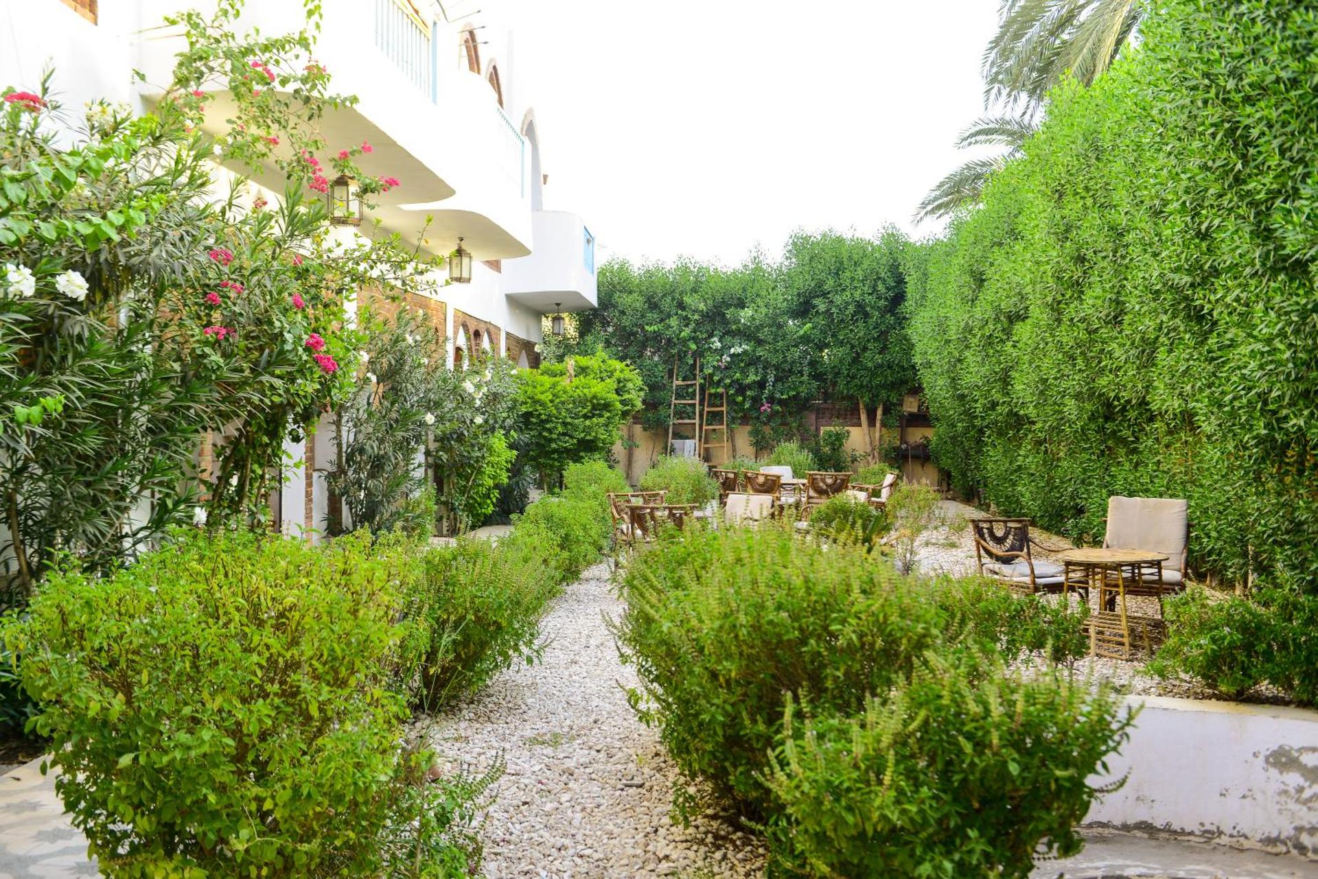 Flamingo Memnon Guest House - Photo 136