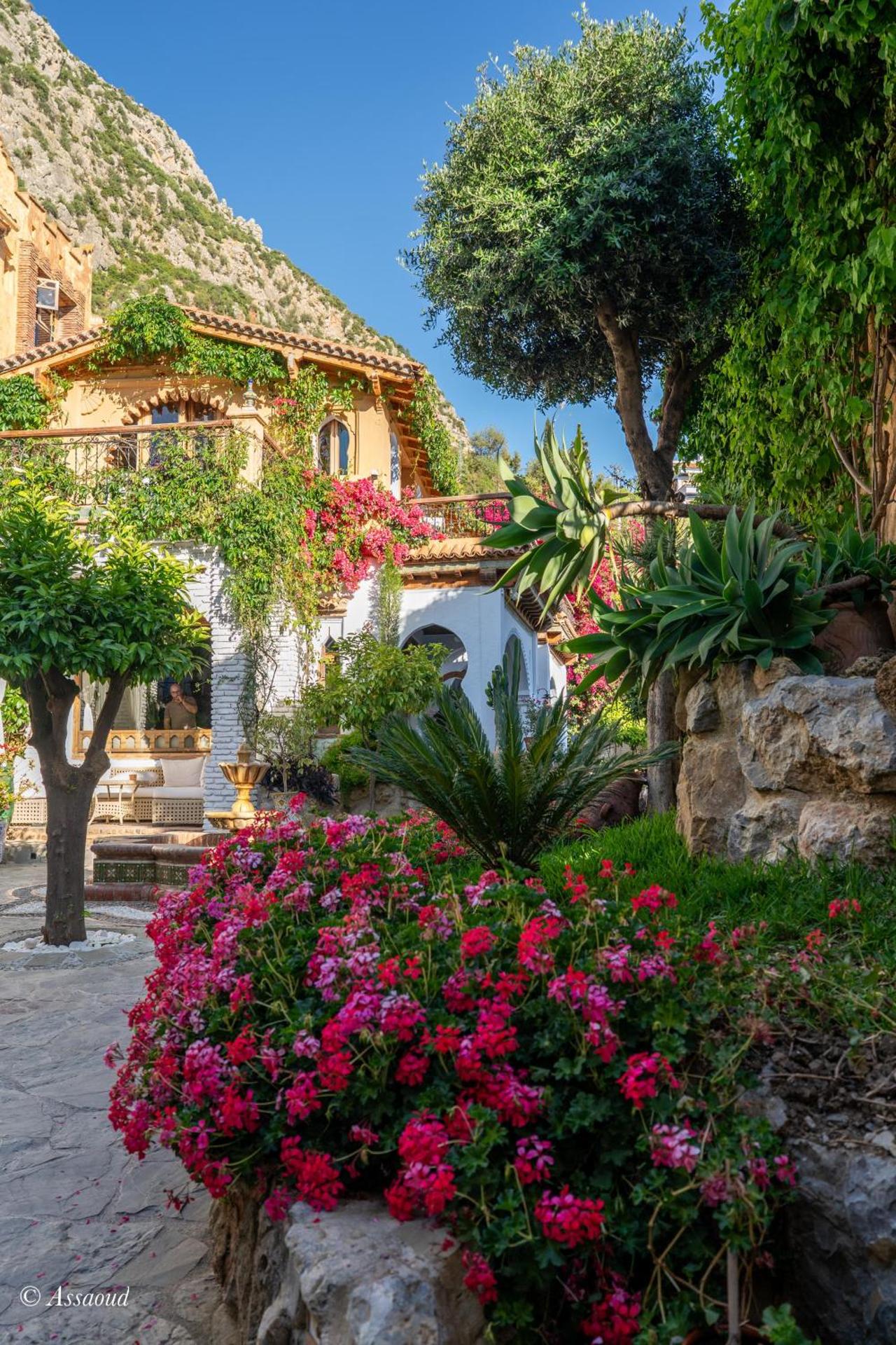 Dar Echchaouen Maison d'Hôtes & Riad - Photo 76