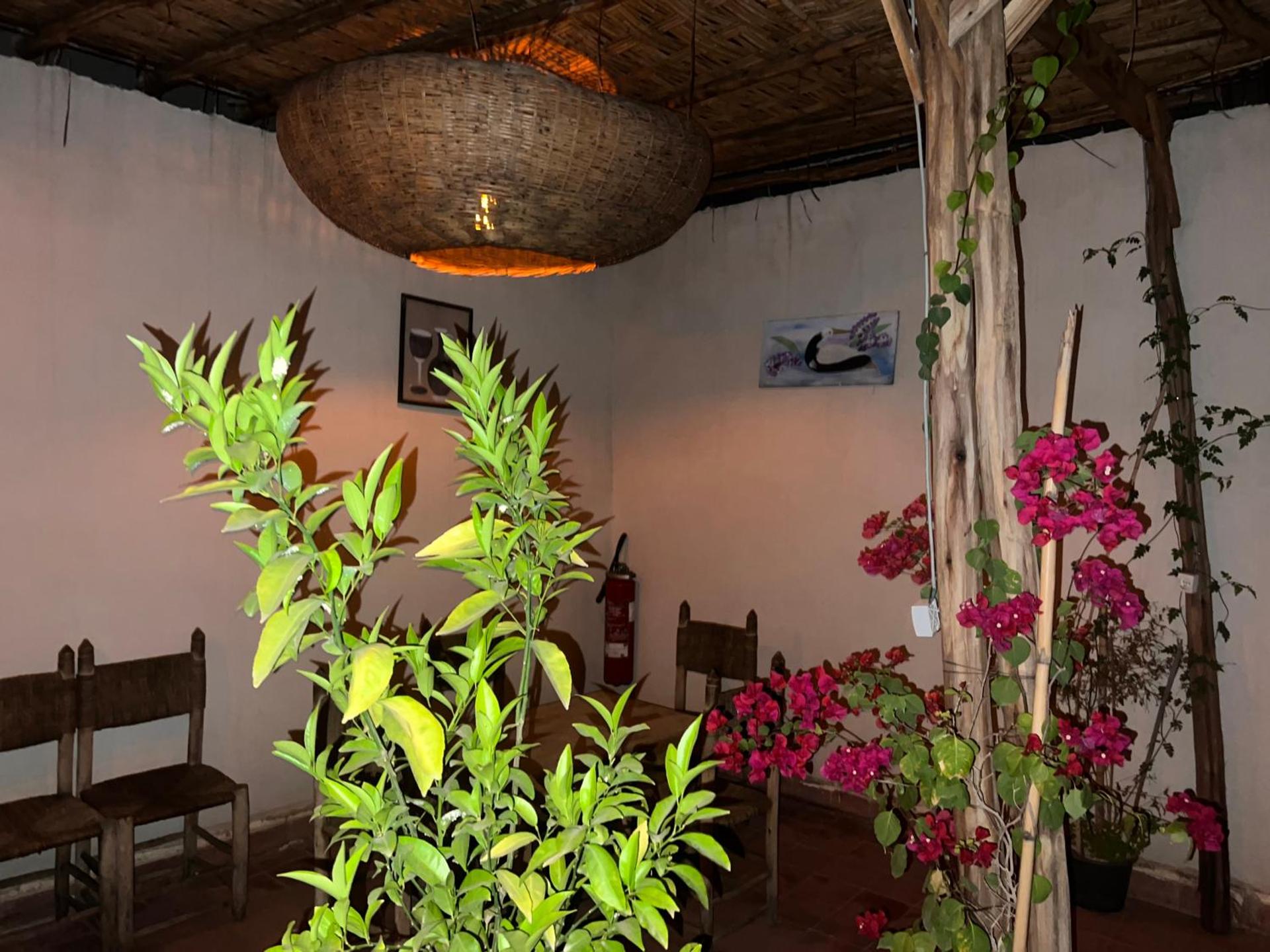 Riad Dar Lokman - Photo 71