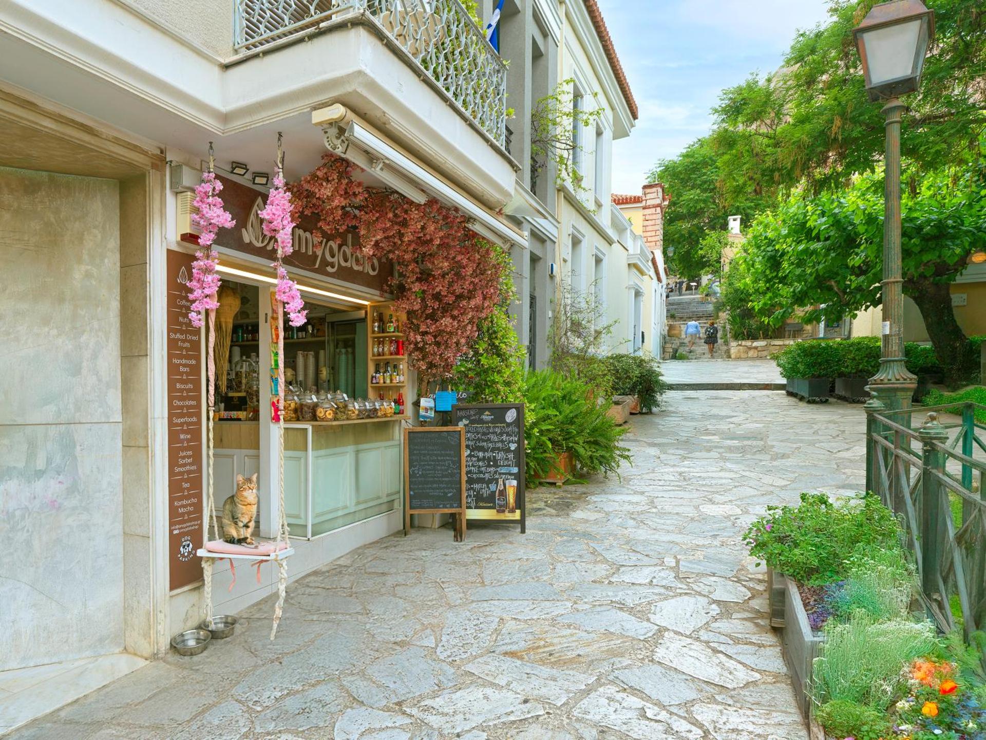 The Acropolis Window - Photo 42