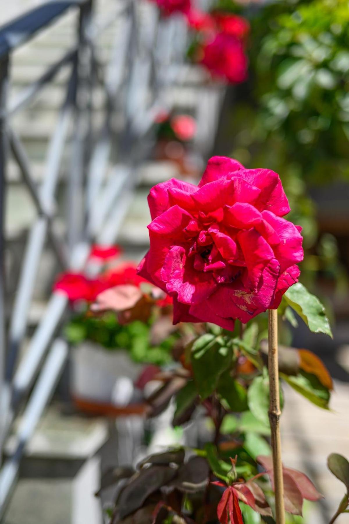 Lovehome - 4BD Villa with views-15mins to airport,10mins to MEC ΑΕ- 2mins to bus stop ,10mins to Suburban Railway on foot - Photo 19