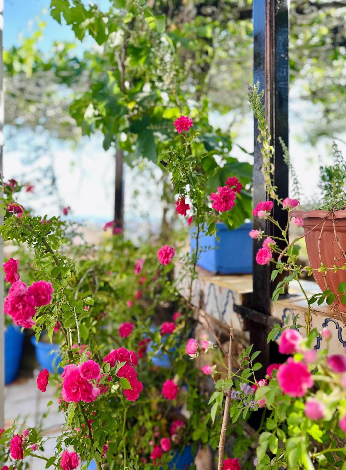 Dar Meziana - Photo 49