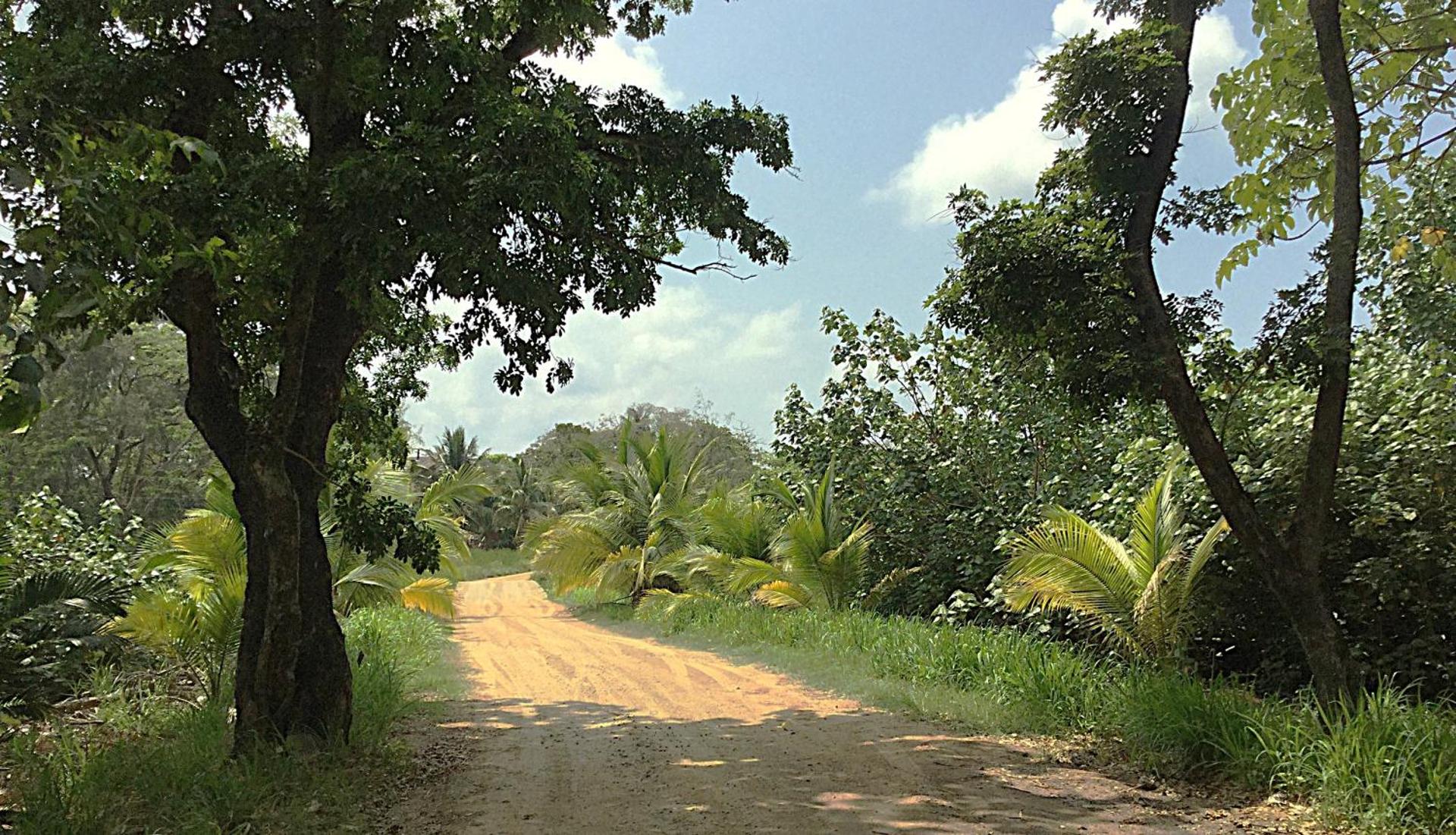 Located Among The Woods On A country Road Leading West Bay Beach - Photo 7