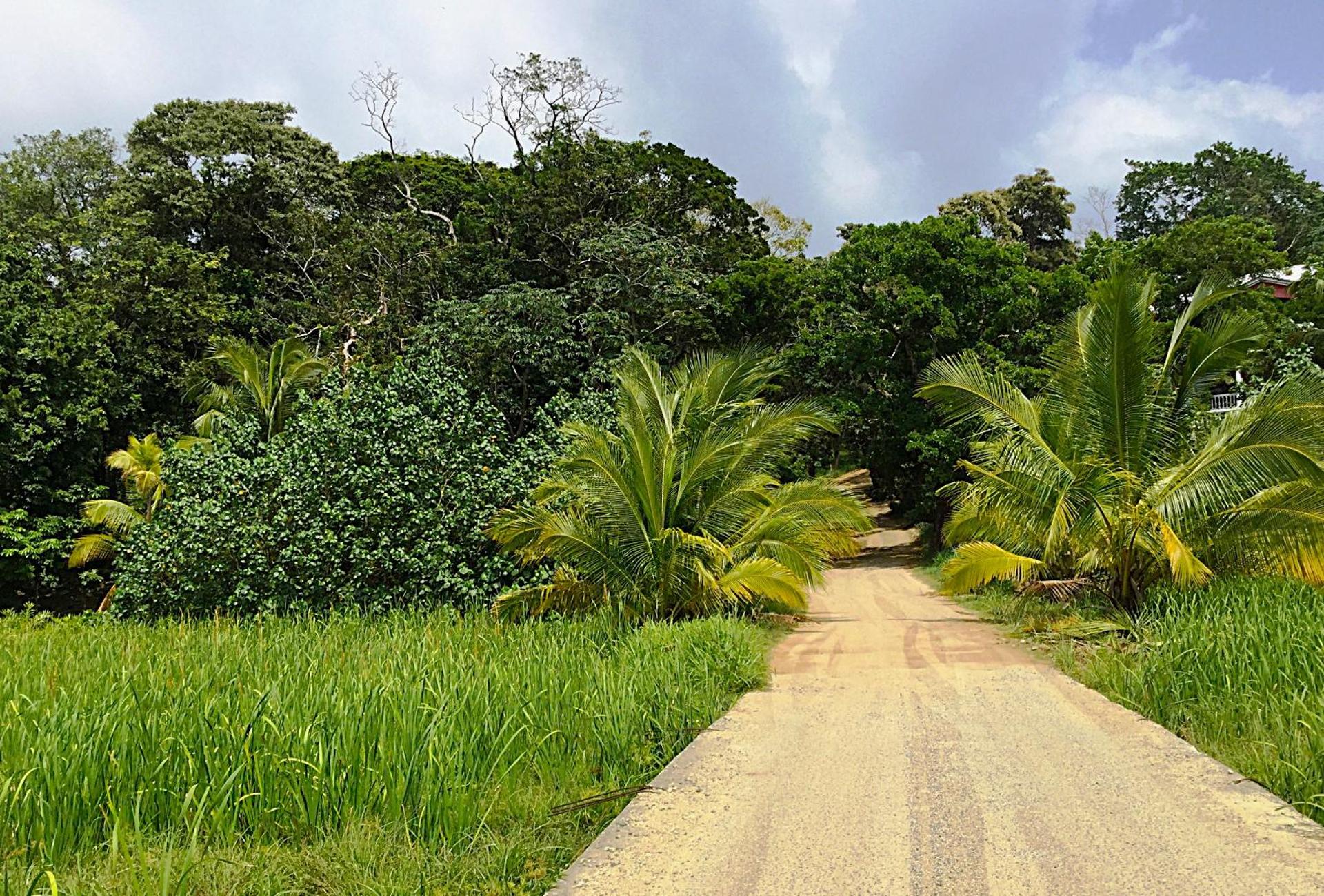 Located Among The Woods On A country Road Leading West Bay Beach - Photo 8