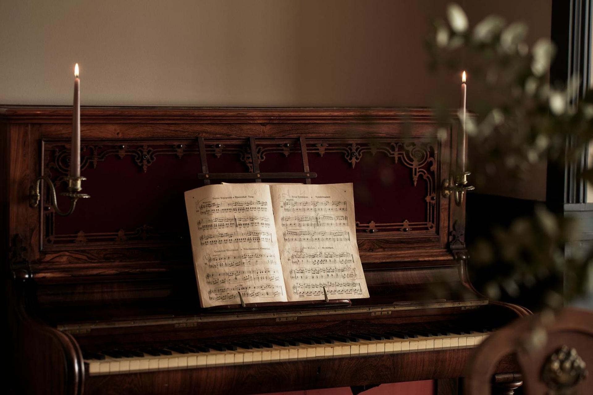 Syrou Melathron - Photo 46
