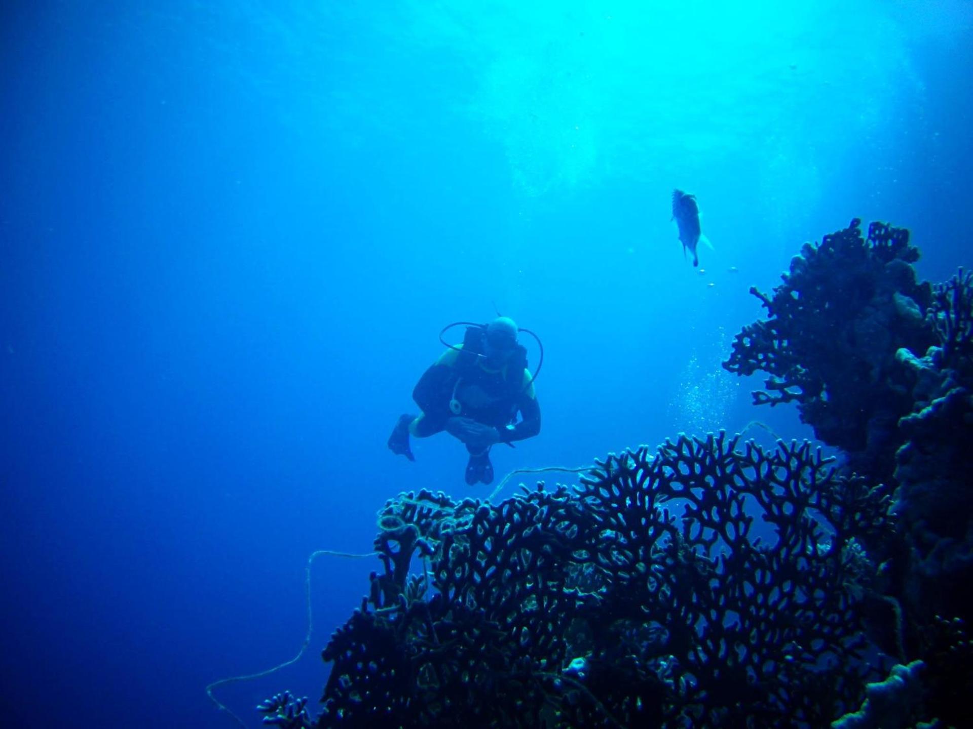 Falcon Hills Hotel - Photo 117