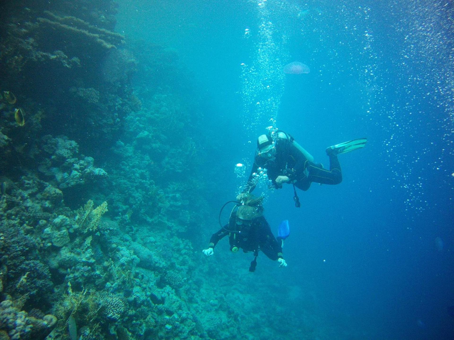 Falcon Hills Hotel - Photo 120