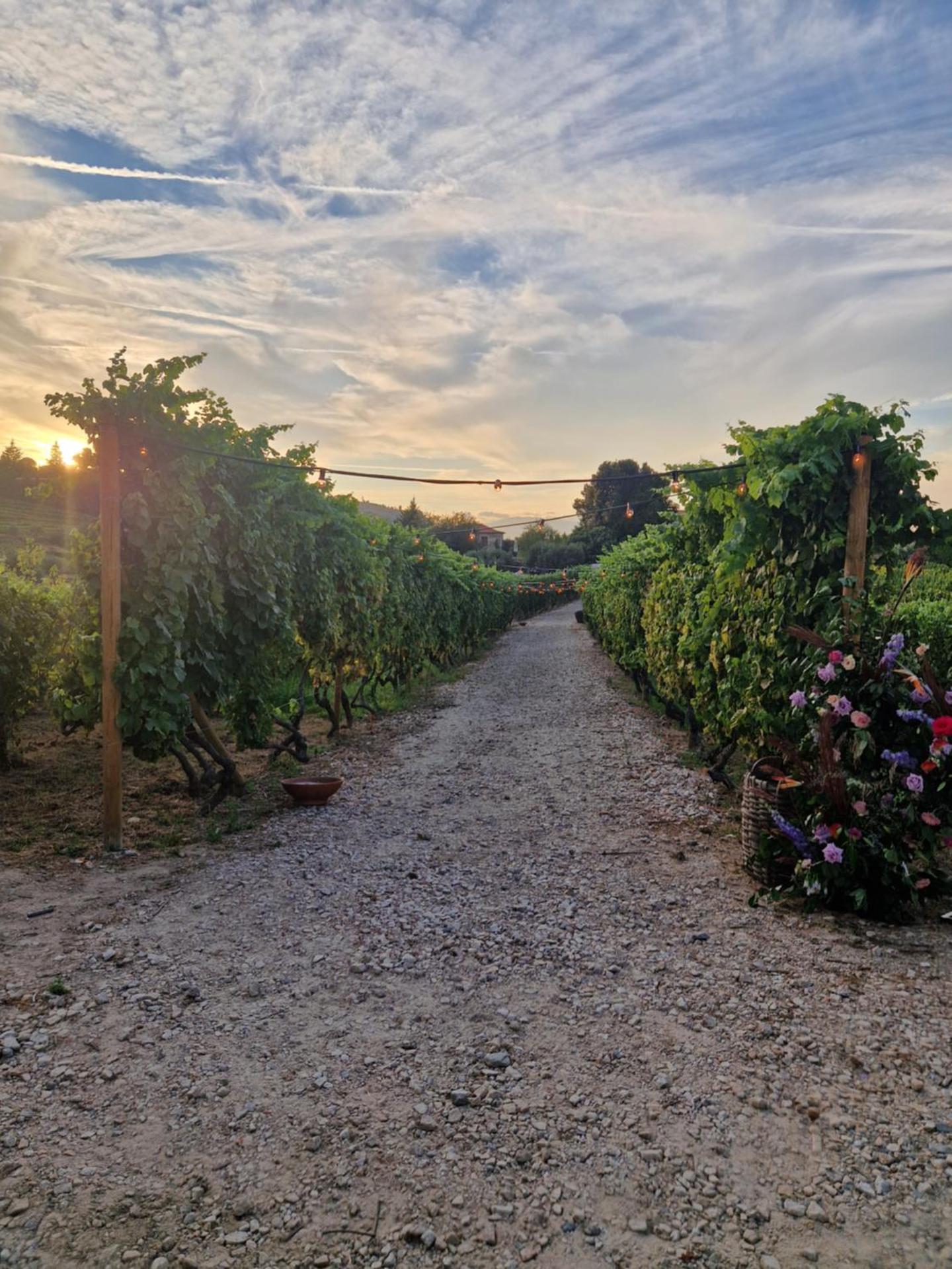 Casa de Sao Miguel Douro - Photo 194