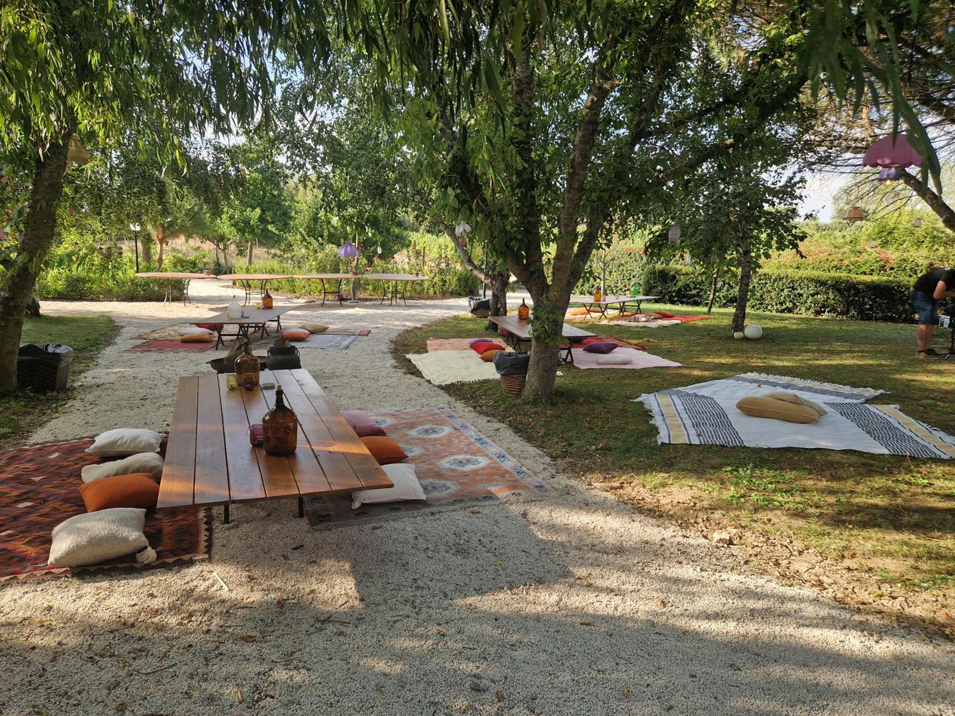 Casa de Sao Miguel Douro - Photo 217