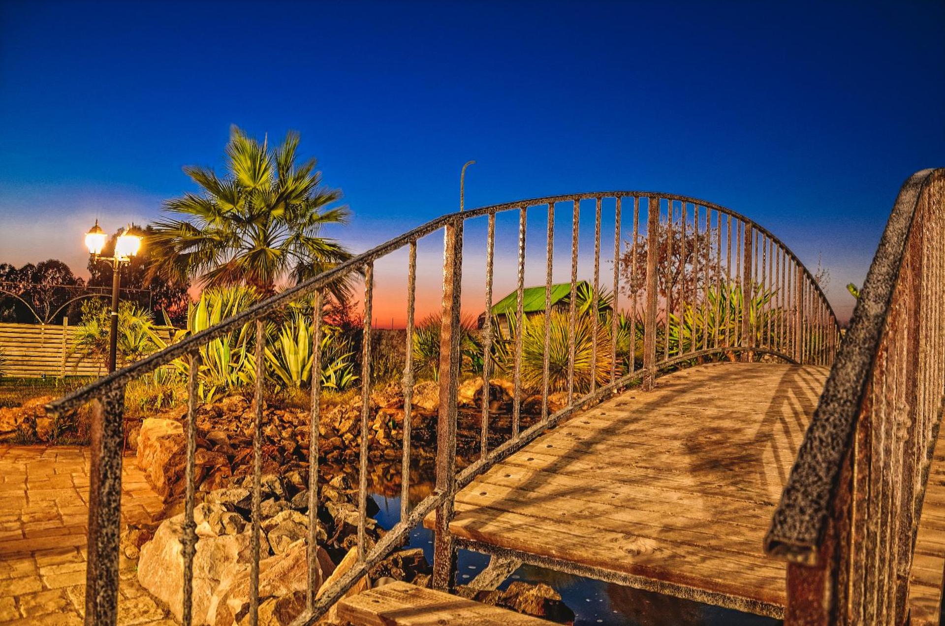 Masseria Tenuta Quintino - Photo 32